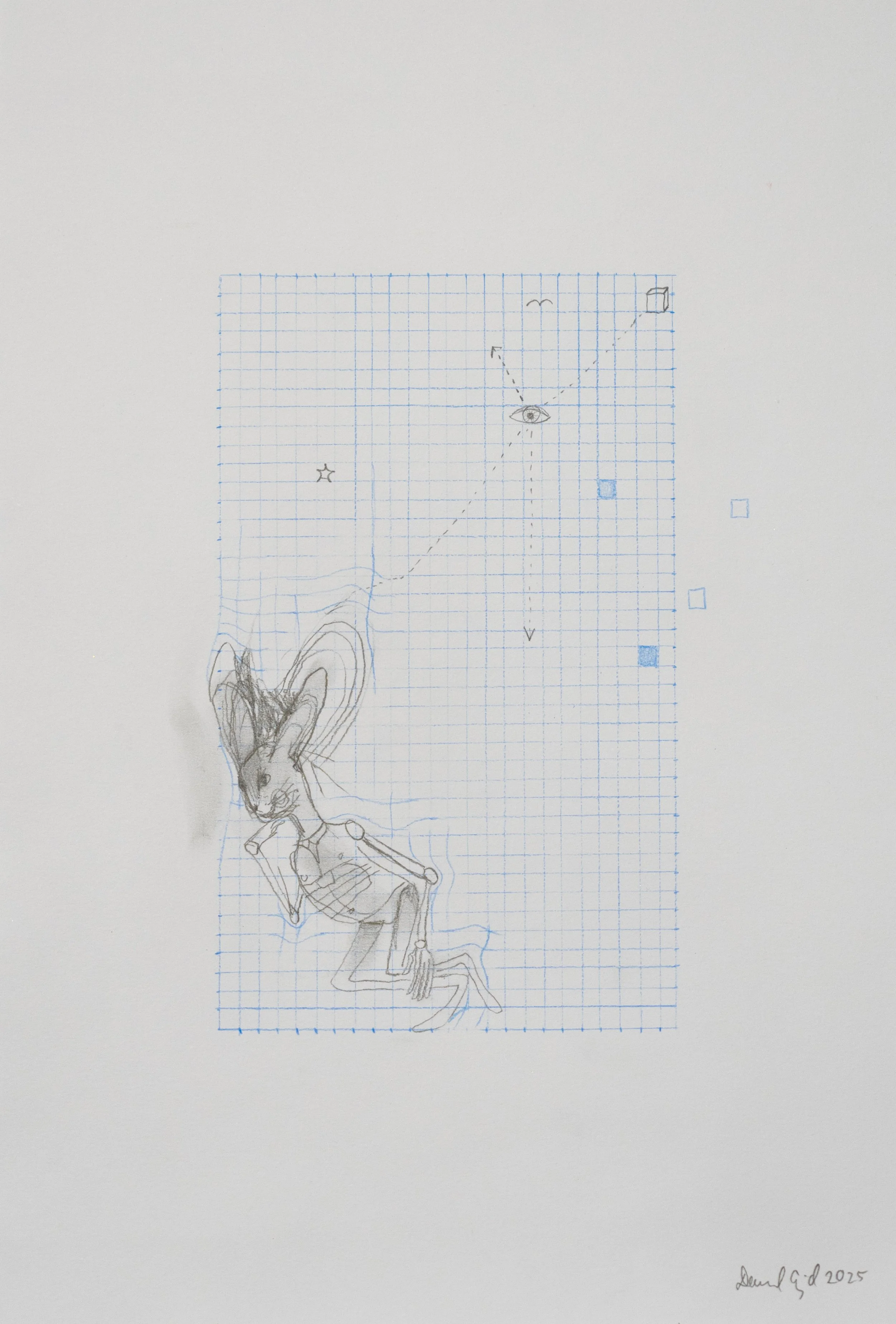 Untitled 5, (Lapins)