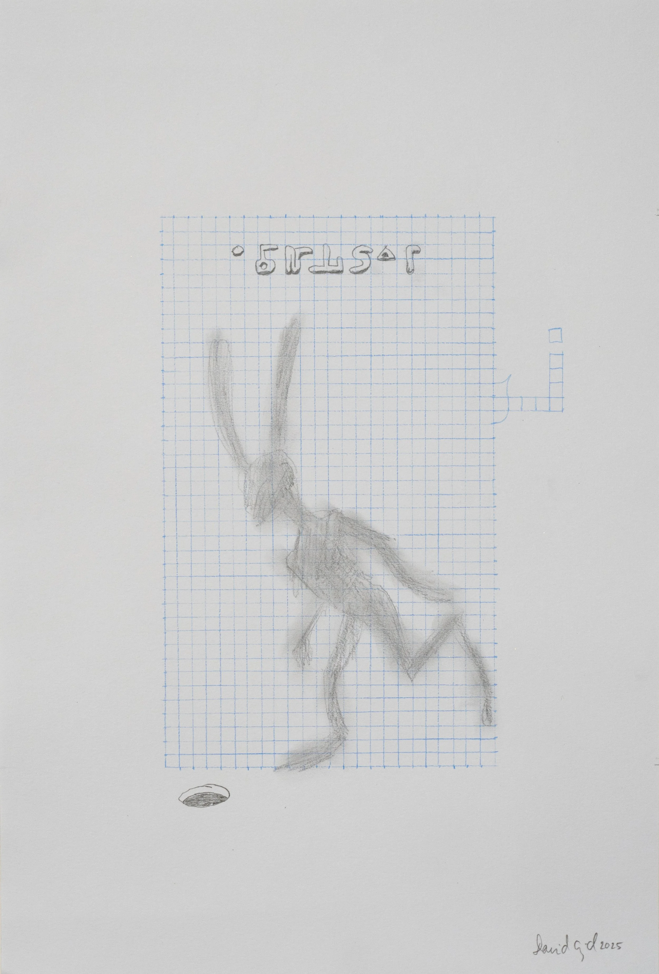 Untitled 4, (Lapins)