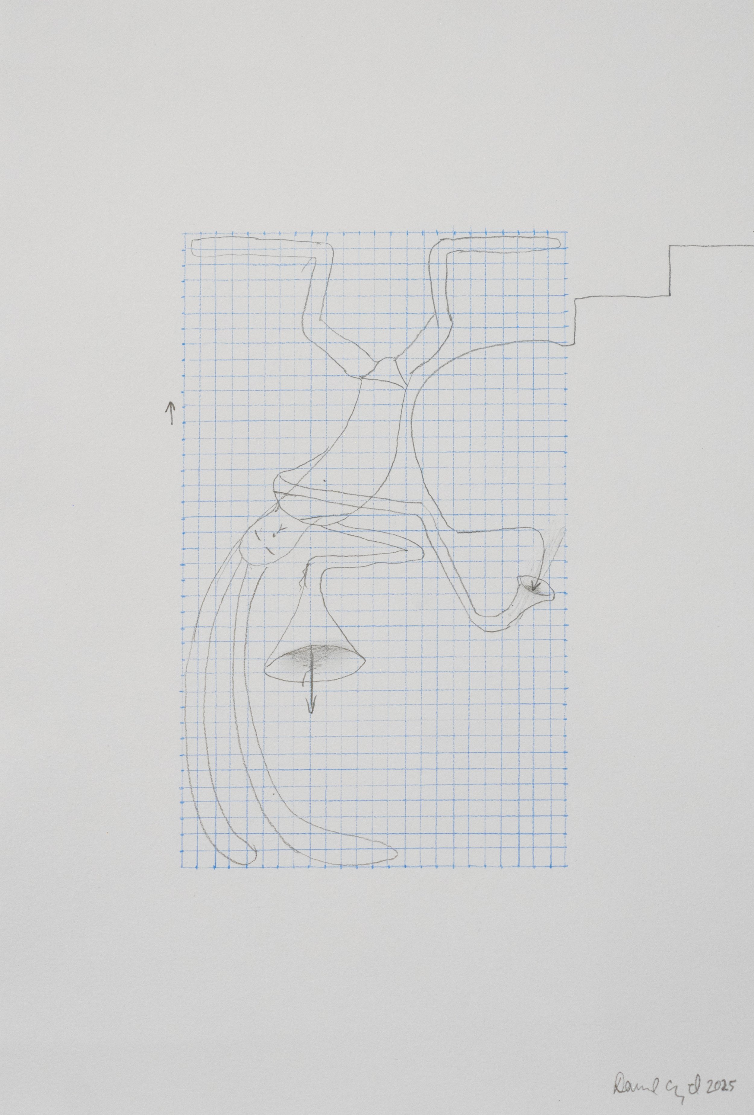 Untitled 6, (Lapins)