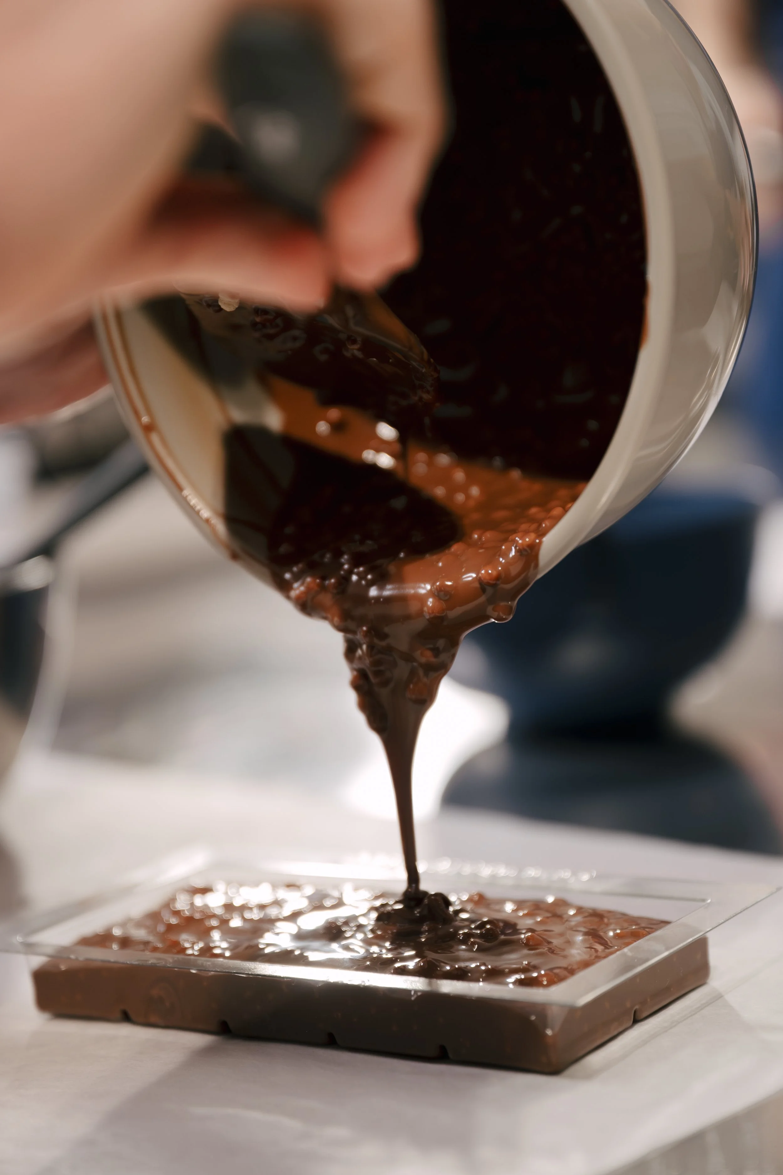 7/02 - Initiation "Chocolat"