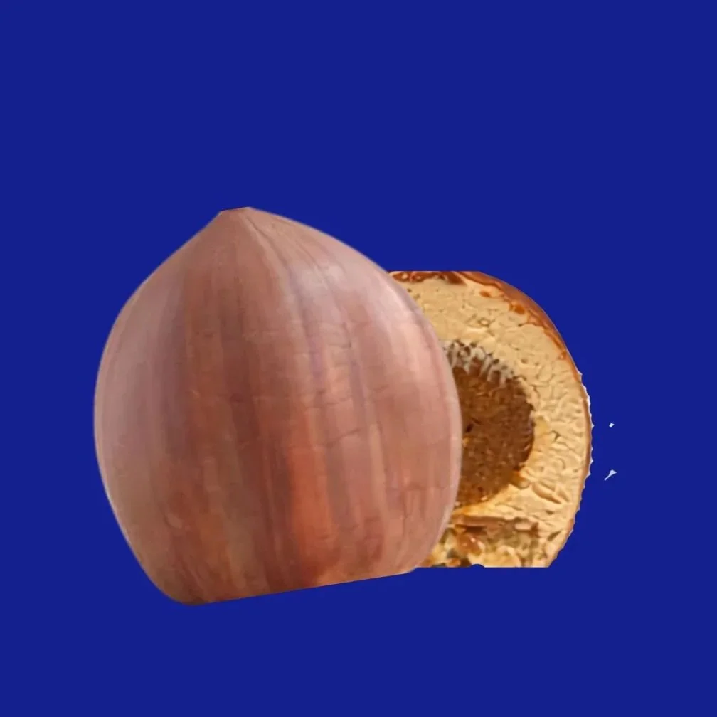 30/12 - Trompe l'œil noisette
