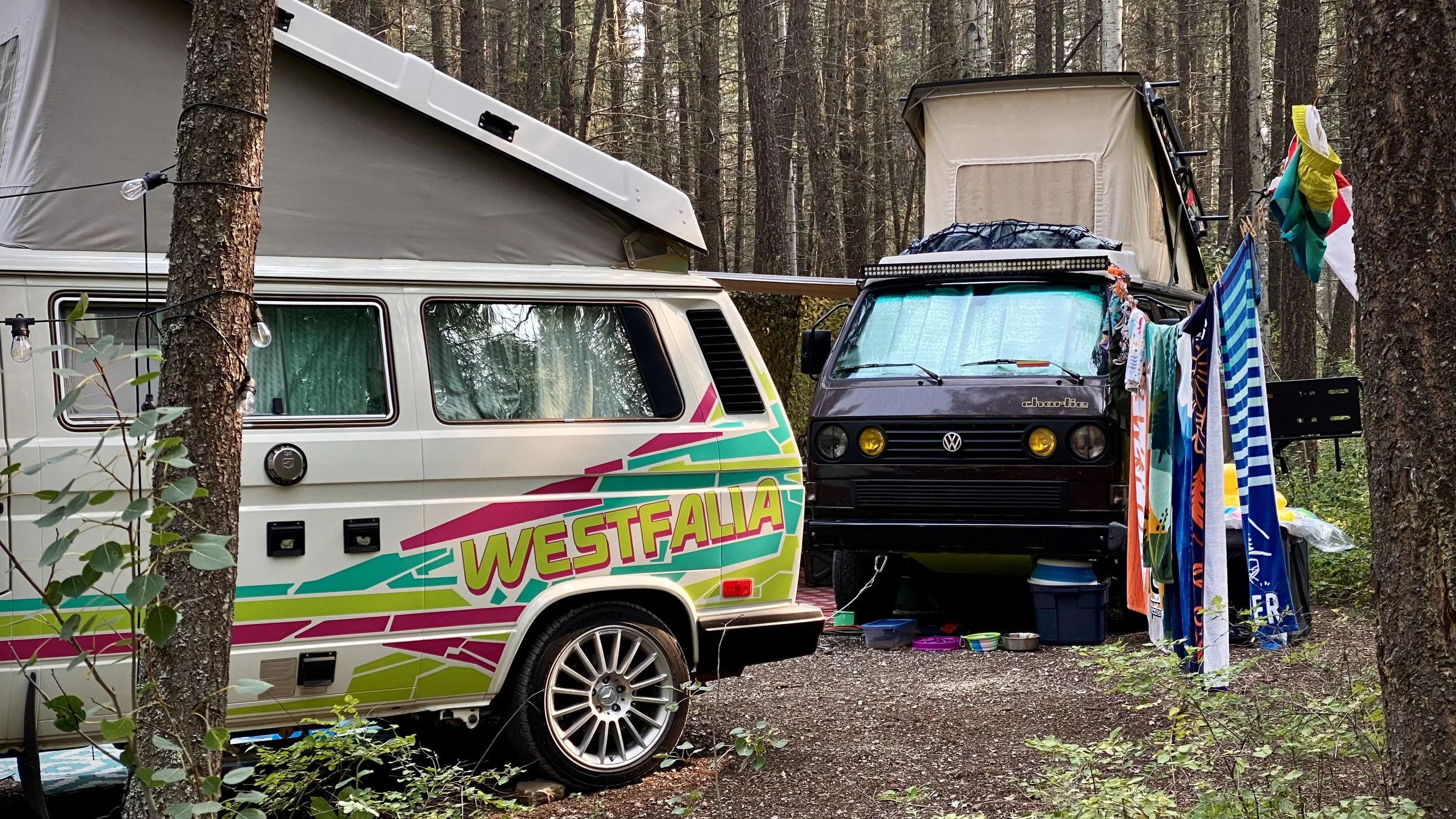 Two Volkswagen camper vans parked in a wooded area with trees surrounding them. One van is white with colorful graphics and the word 'Westfalia' on the side, the other is burgundy with a raised pop-up roof and clothes hanging on a line outside.