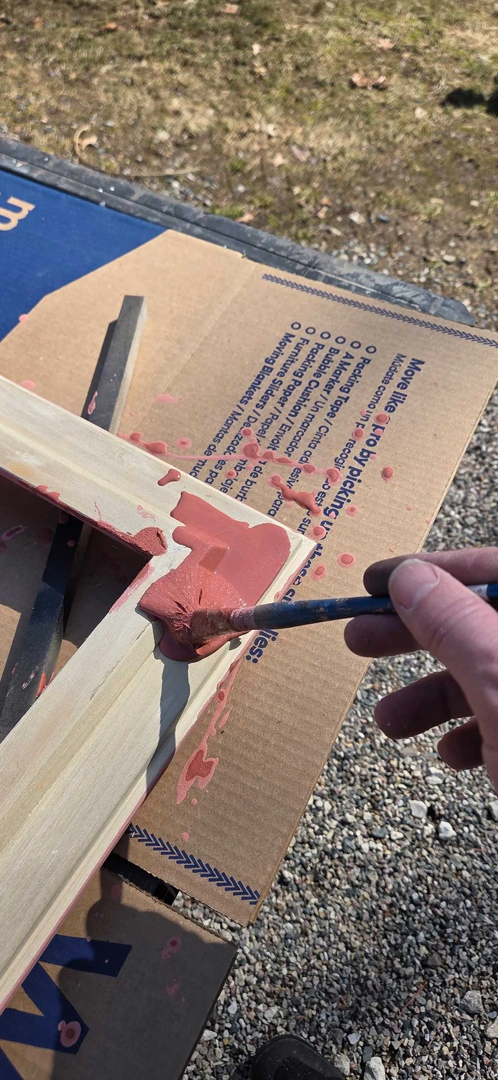 First coat of distemper paint