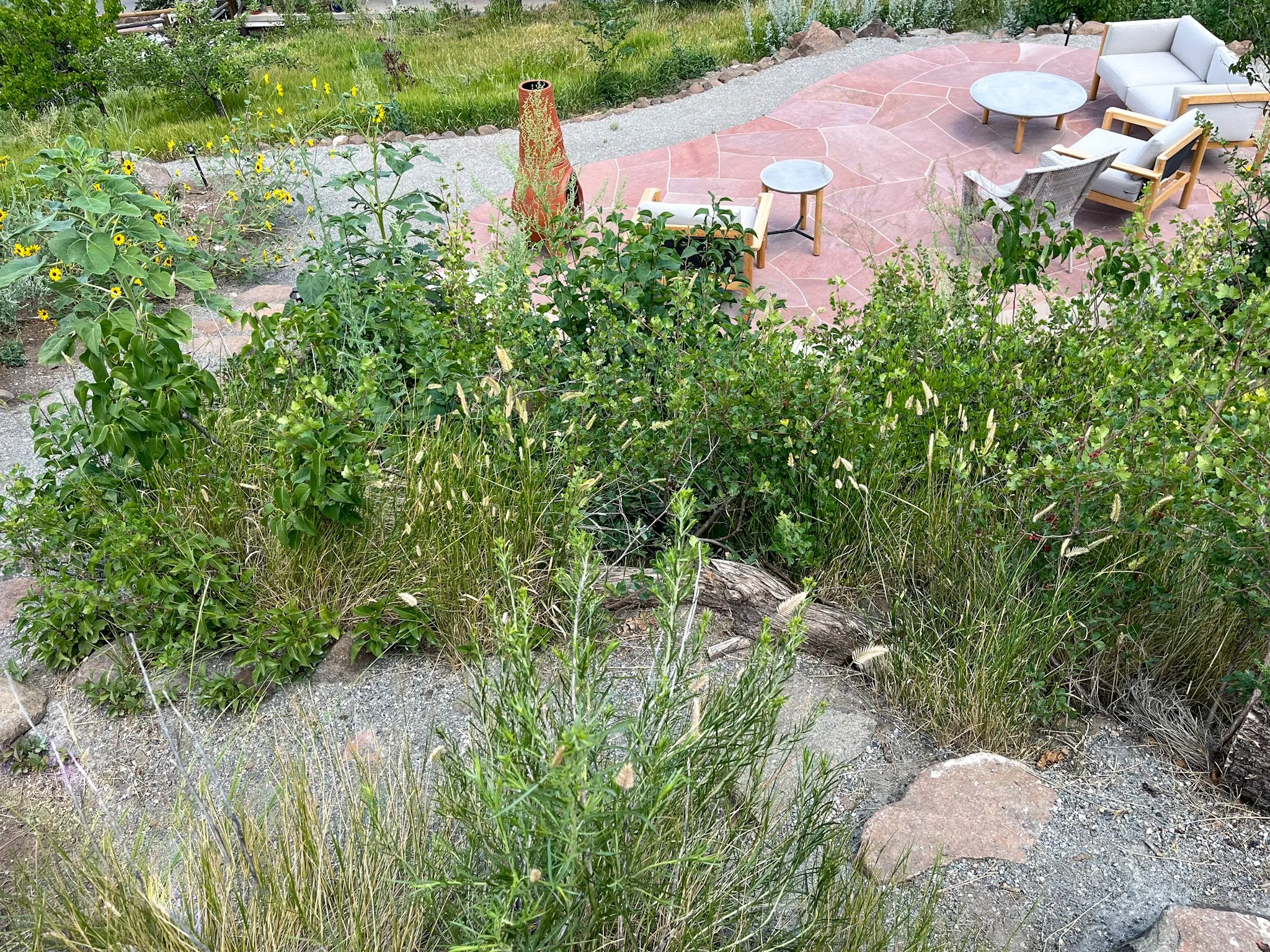 This backyard design in Denver features native foliage and an inviting fire pit patio
