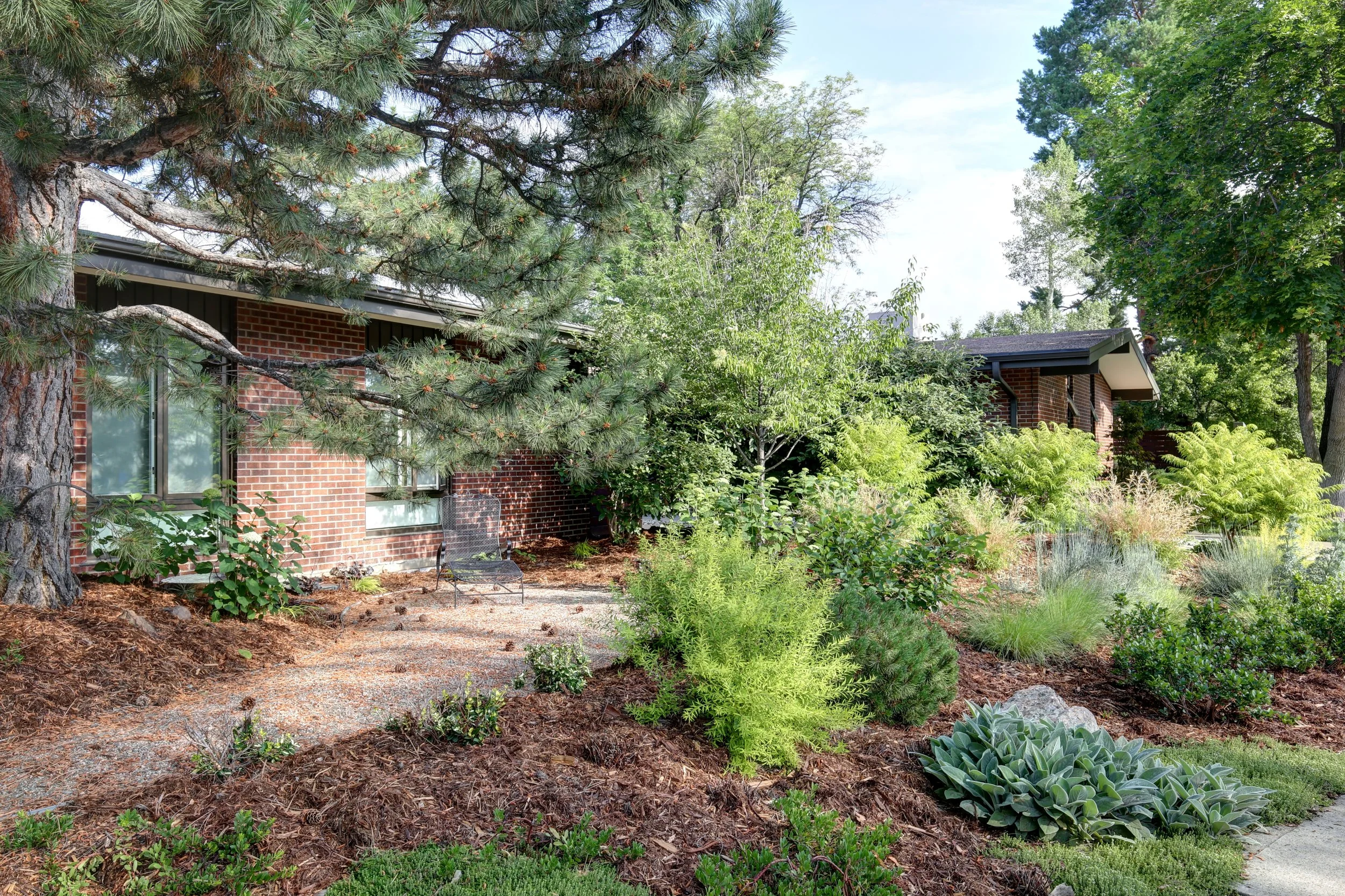 Front yard garden in Denver with mature trees, shrubs, and natural landscaping framing a classic brick home.