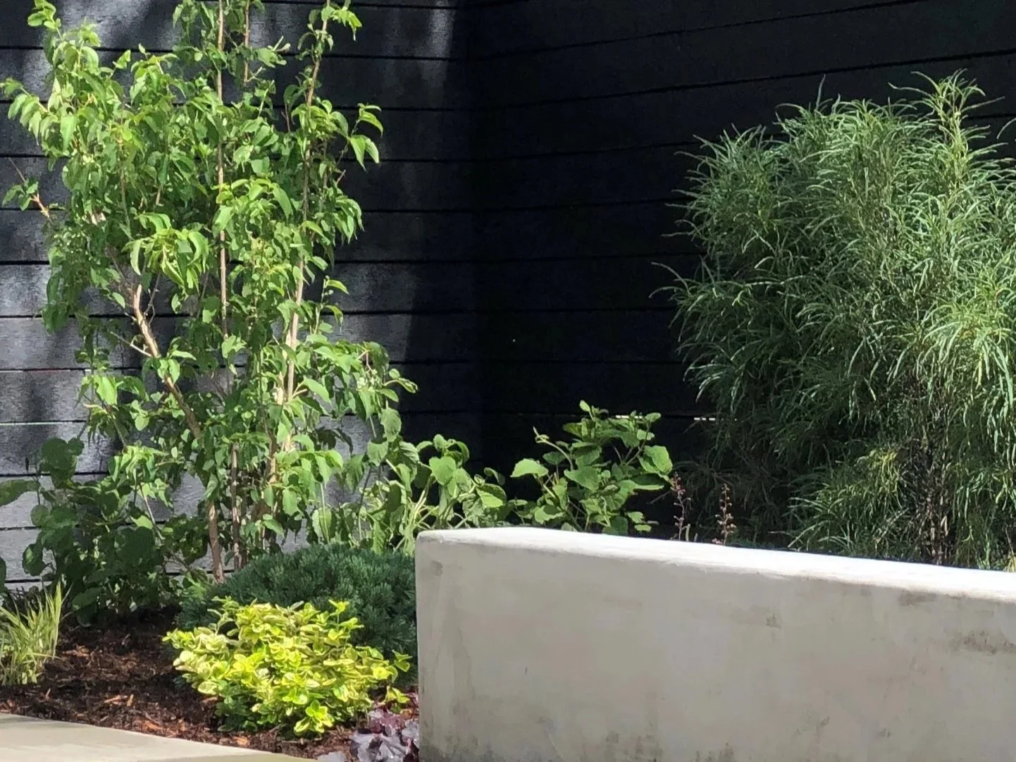 Clean lines and native materials define this Denver front yard landscape design project