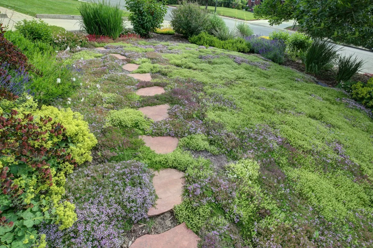 Comprehensive garden care including weeding, trimming, and irrigation check in Cherry Hills home.