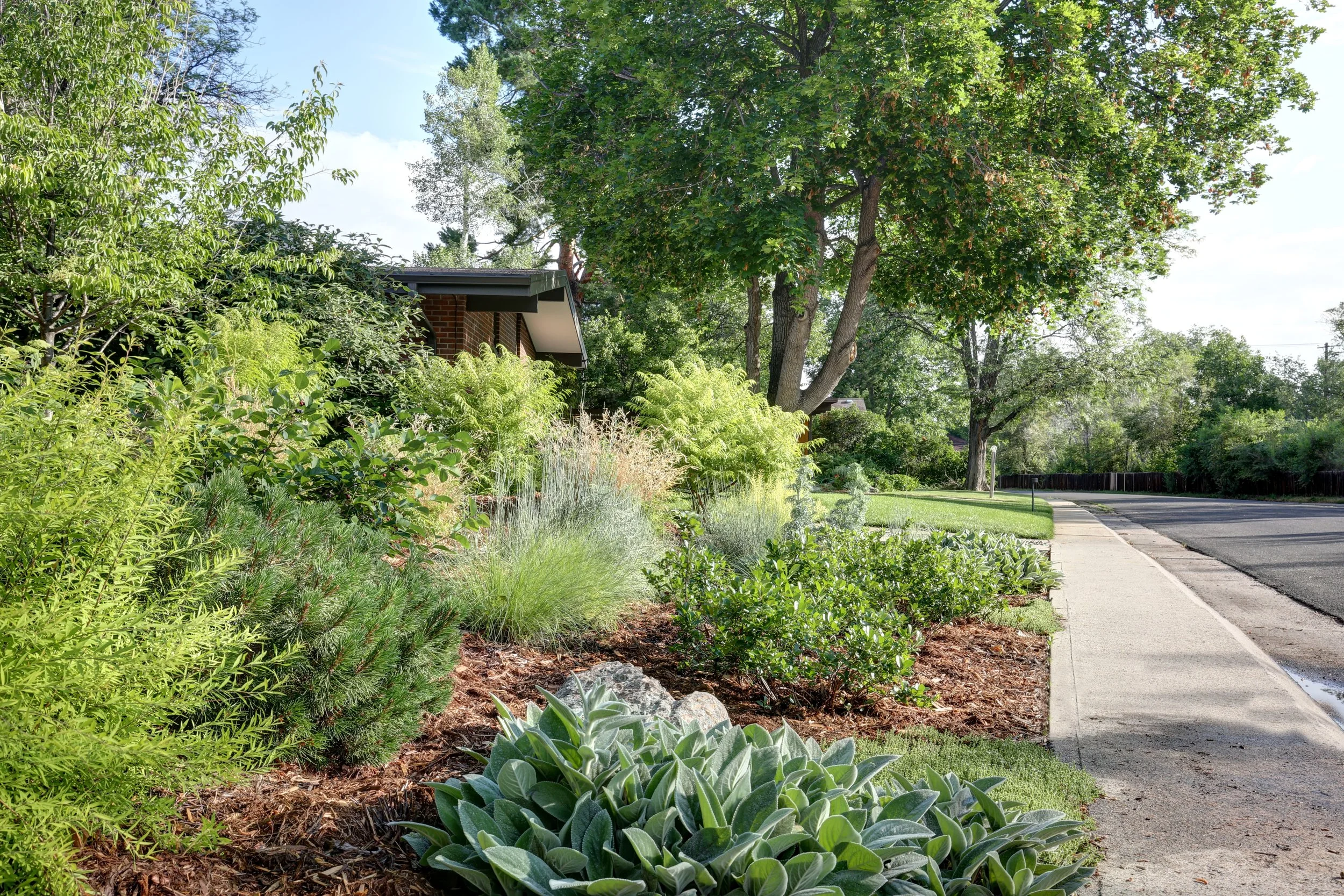 Street view of landscaped front yard done by The Green Fuse with lush greenery, shrubs, and large shade trees.