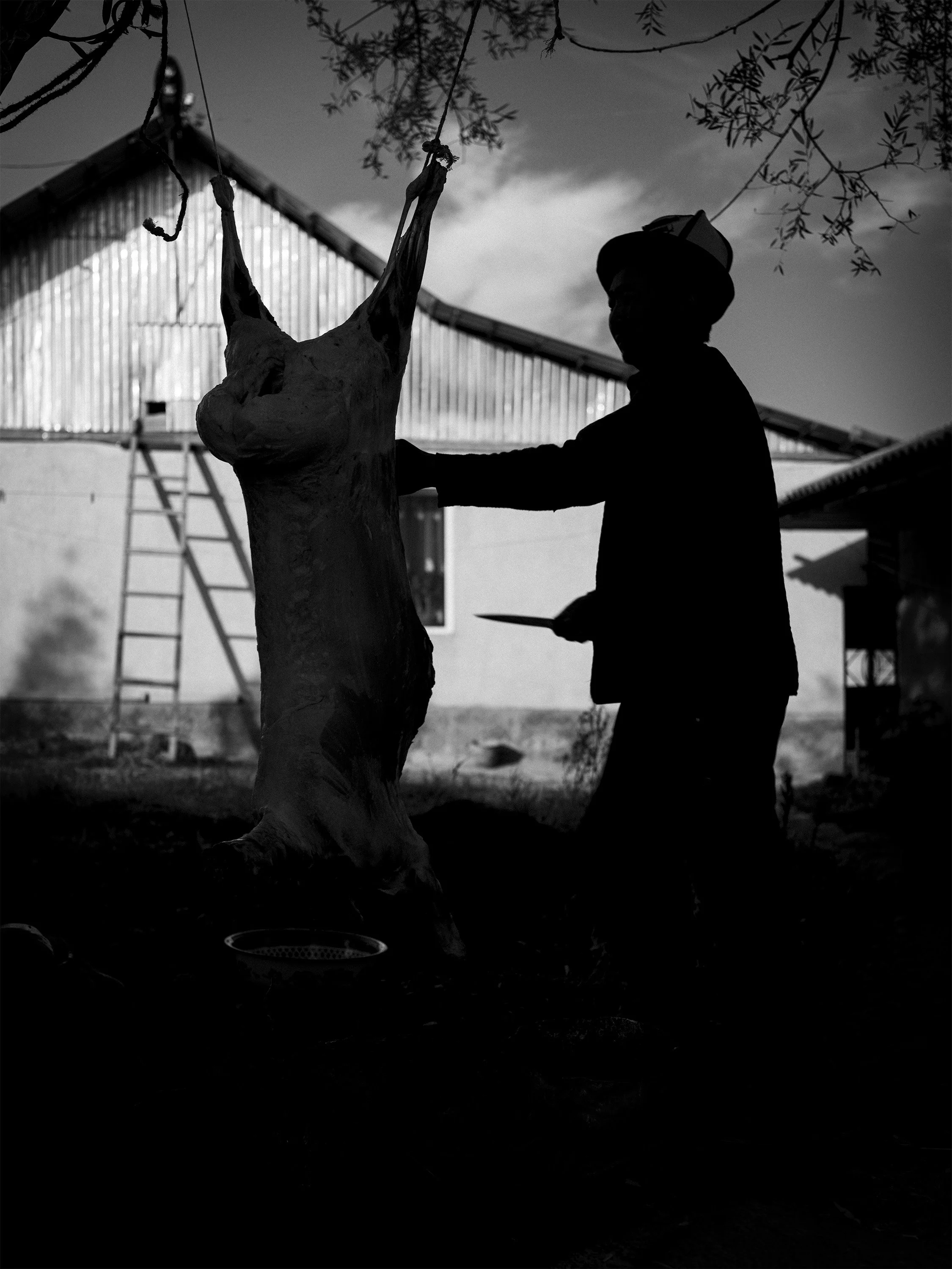 A Bloody Morning in Kyrgyzstan