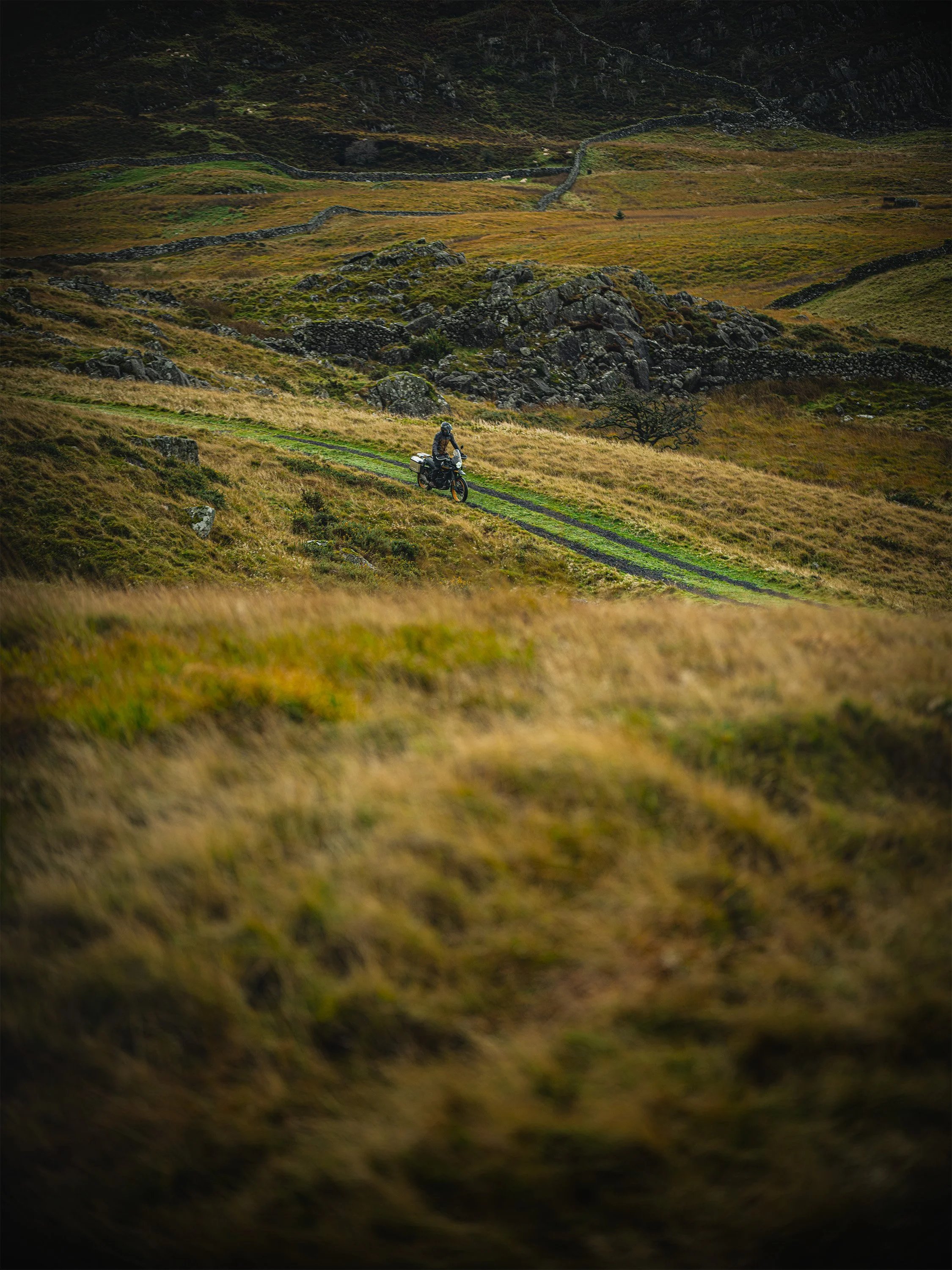 AdamDockerPhotography_Wales10.jpg