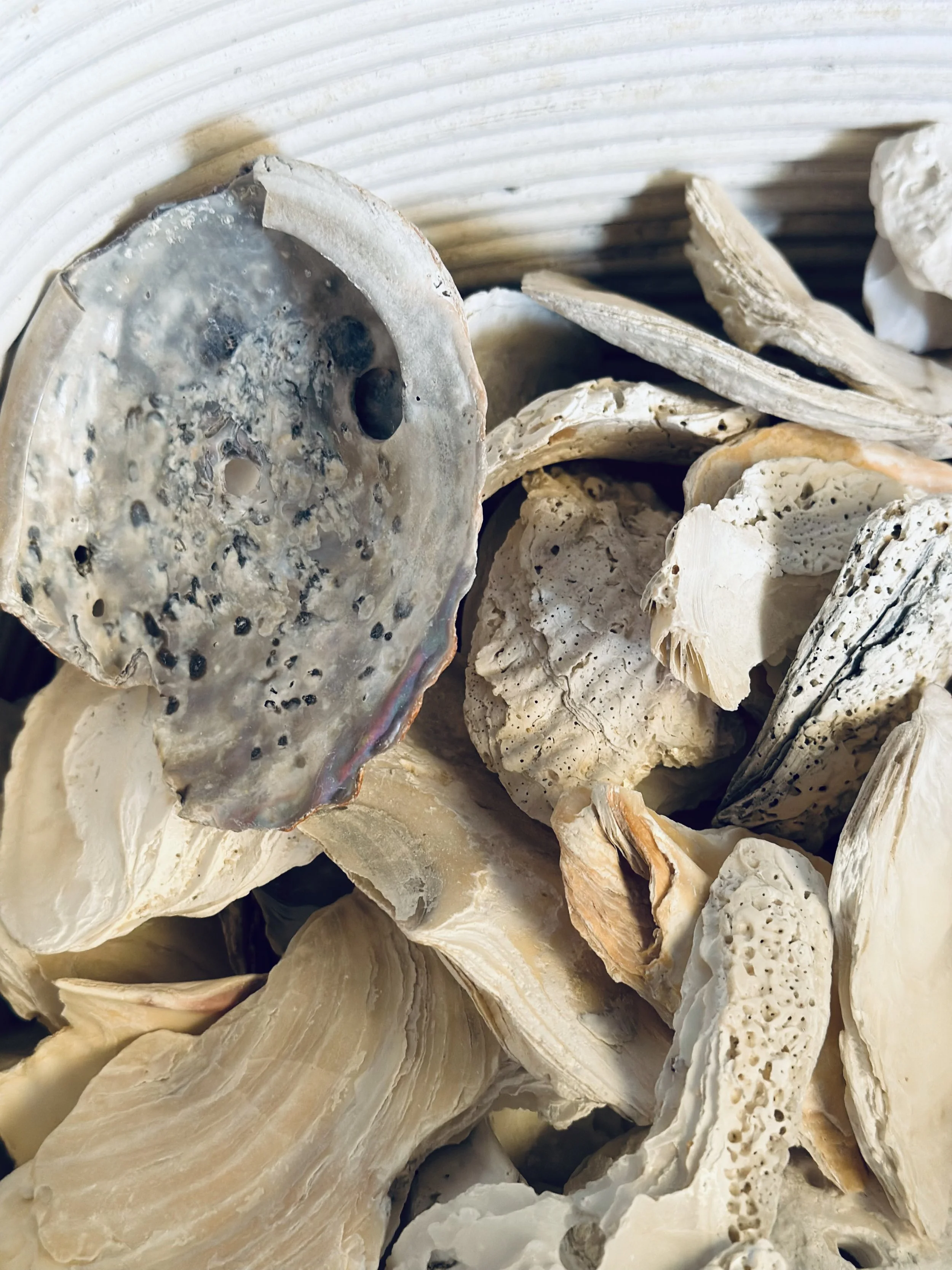 Hafner Interiors_Materials  13.JPG