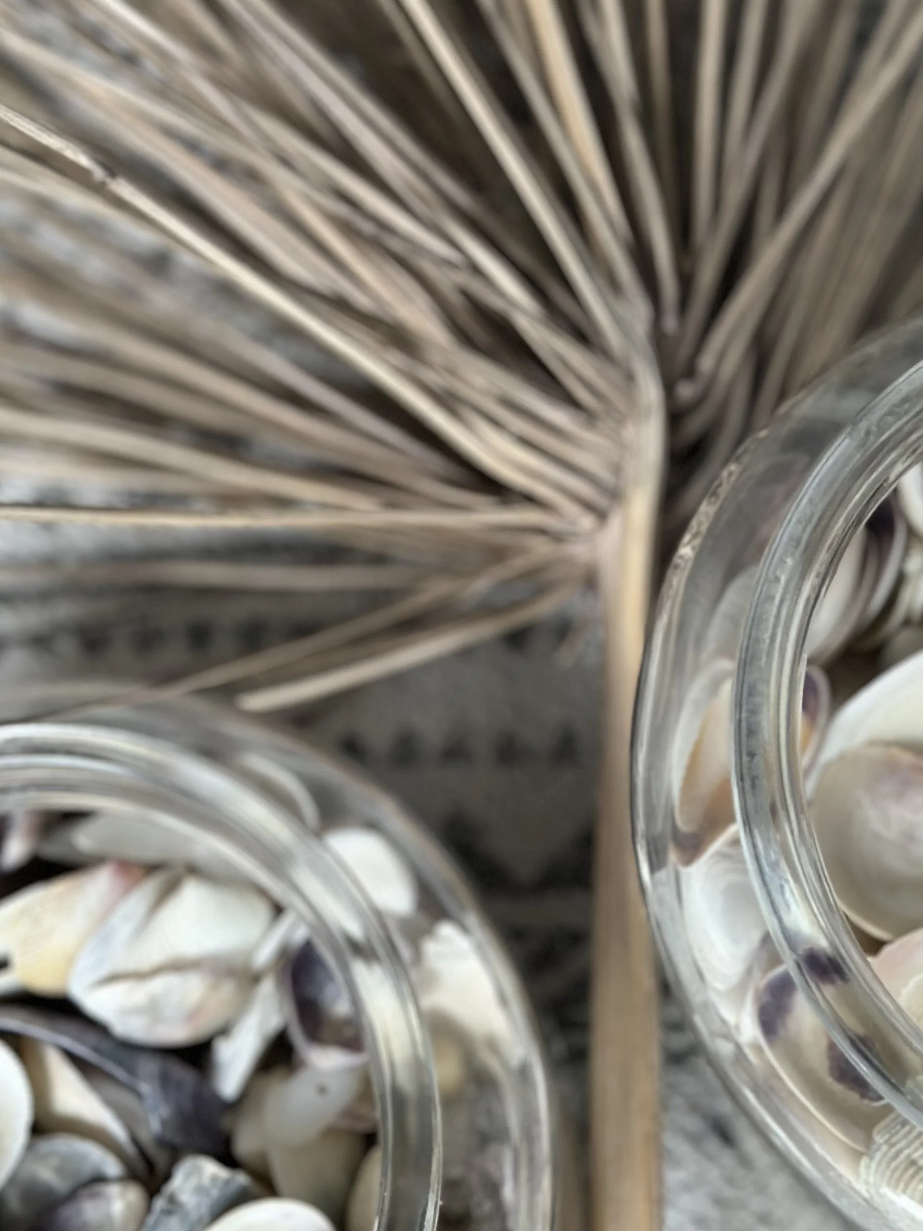 Hafner Interiors_Materials  12.JPG