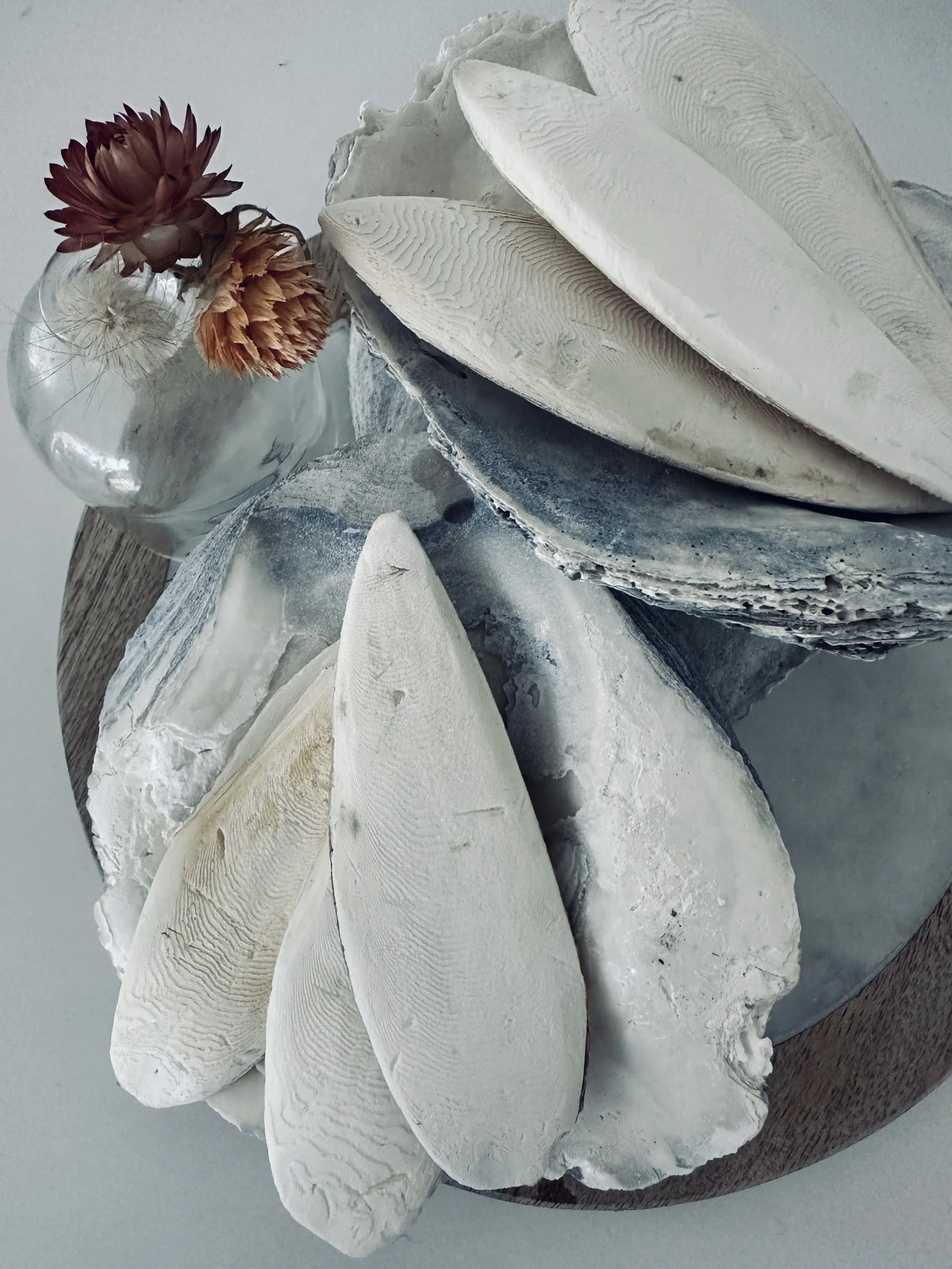 Hafner Interiors_Materials   11.JPG