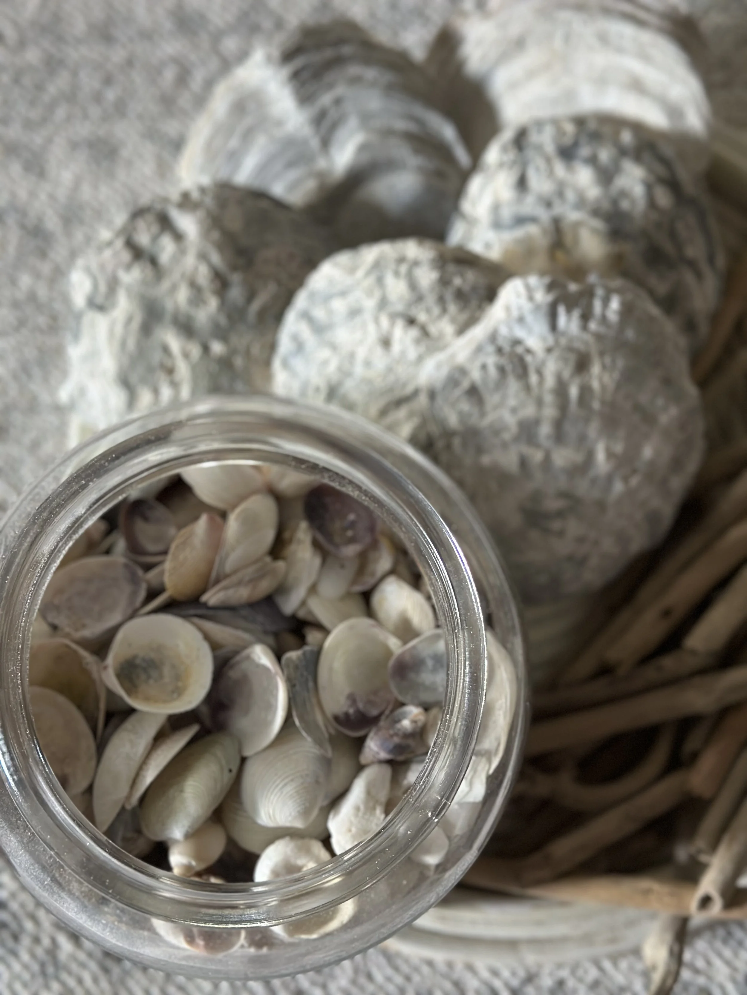 Hafner Interiors_Materials  7.JPG