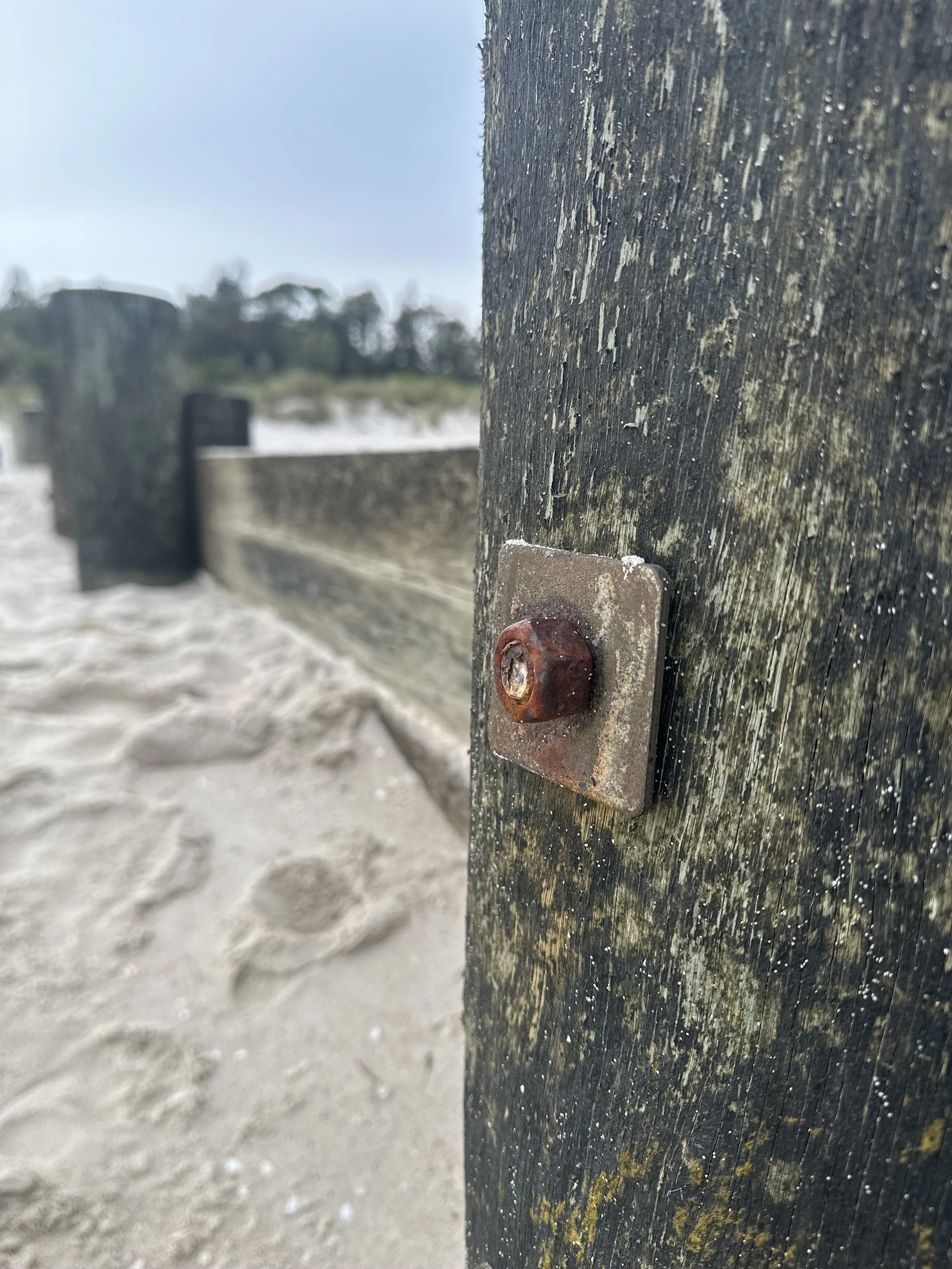 Hafner Interiors_Beach.jpg