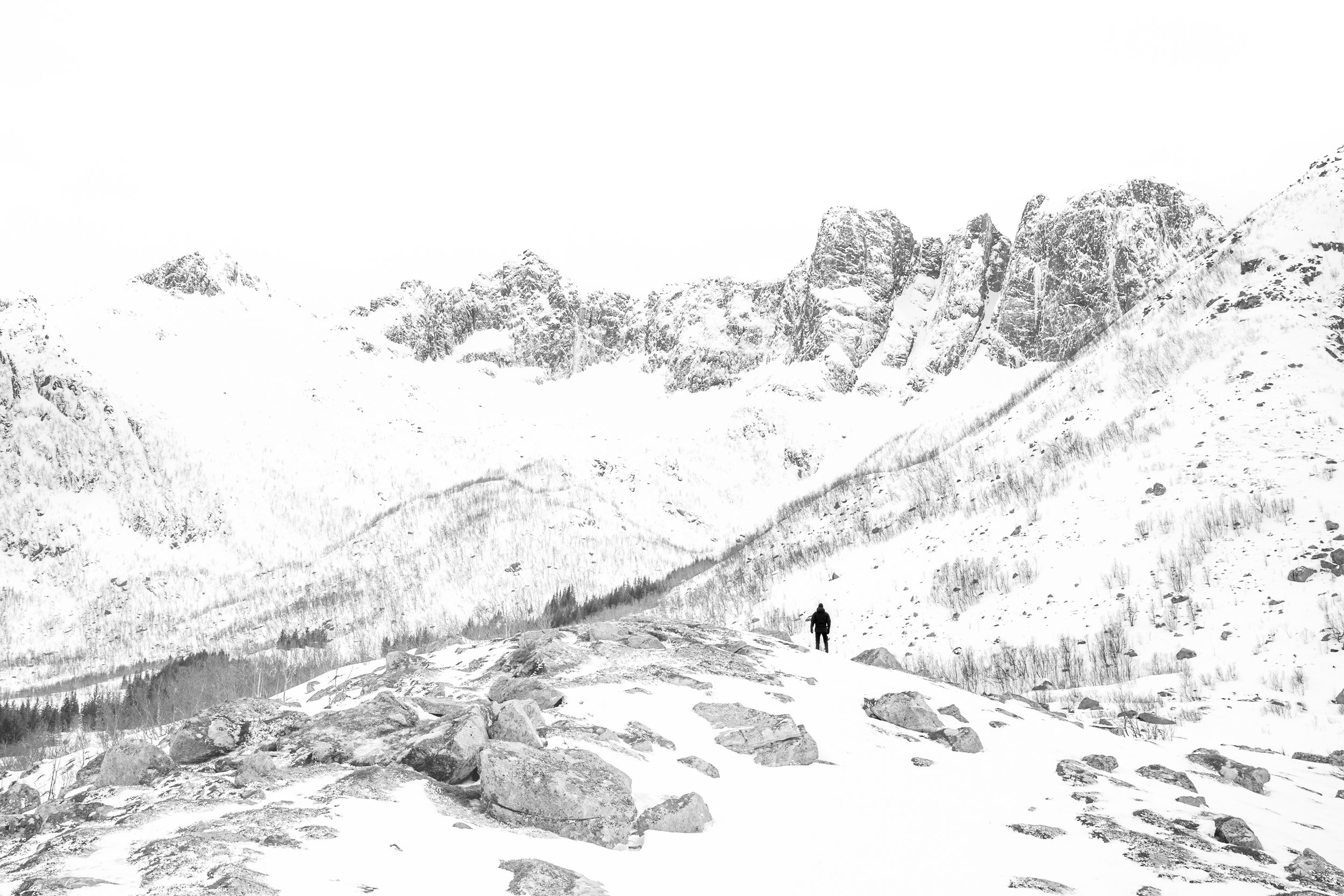 _N5A0009.jpg