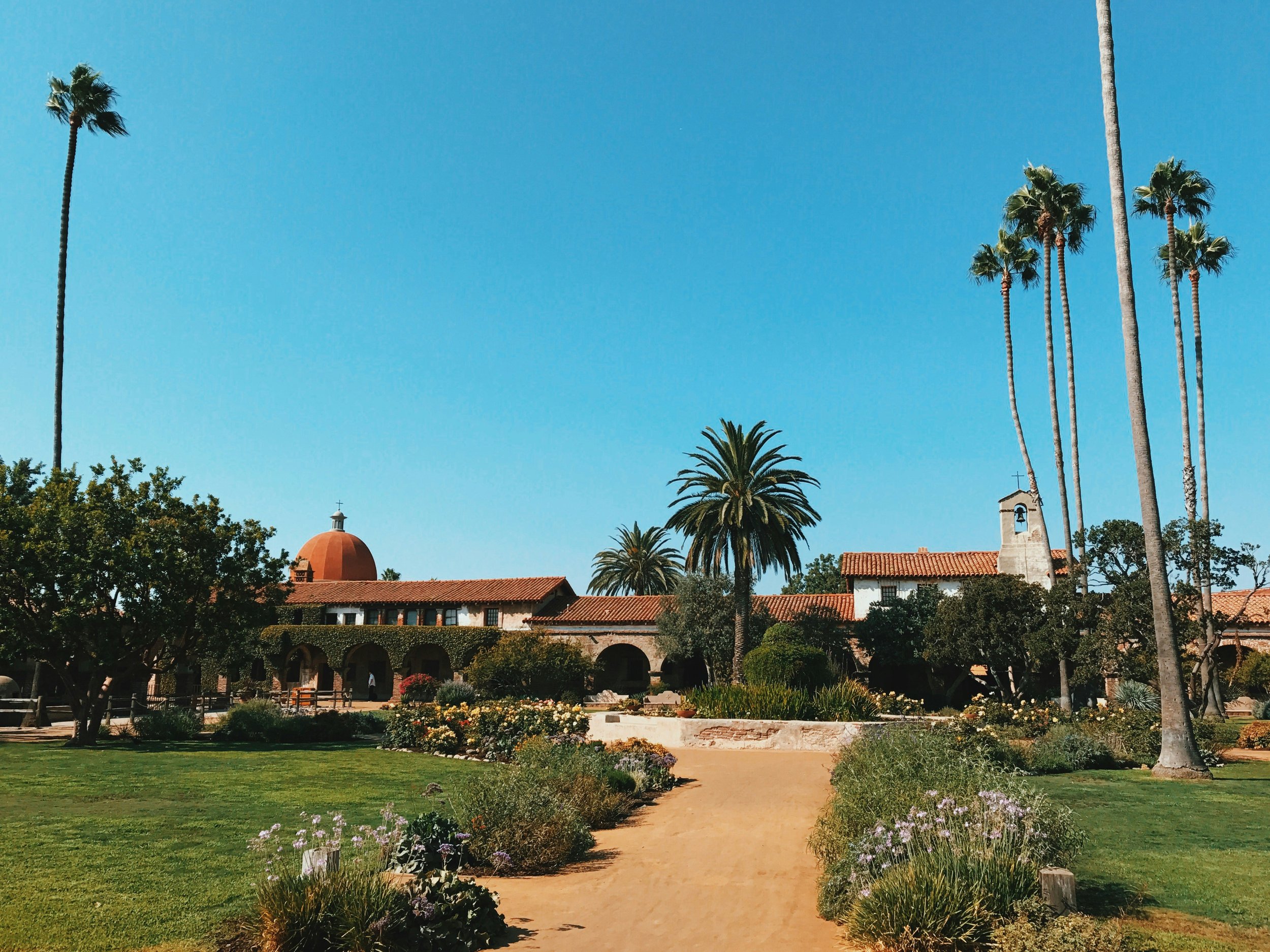 Sunny garden with path leading to building, tall palm trees, lush greenery, flowers, and a blue sky.