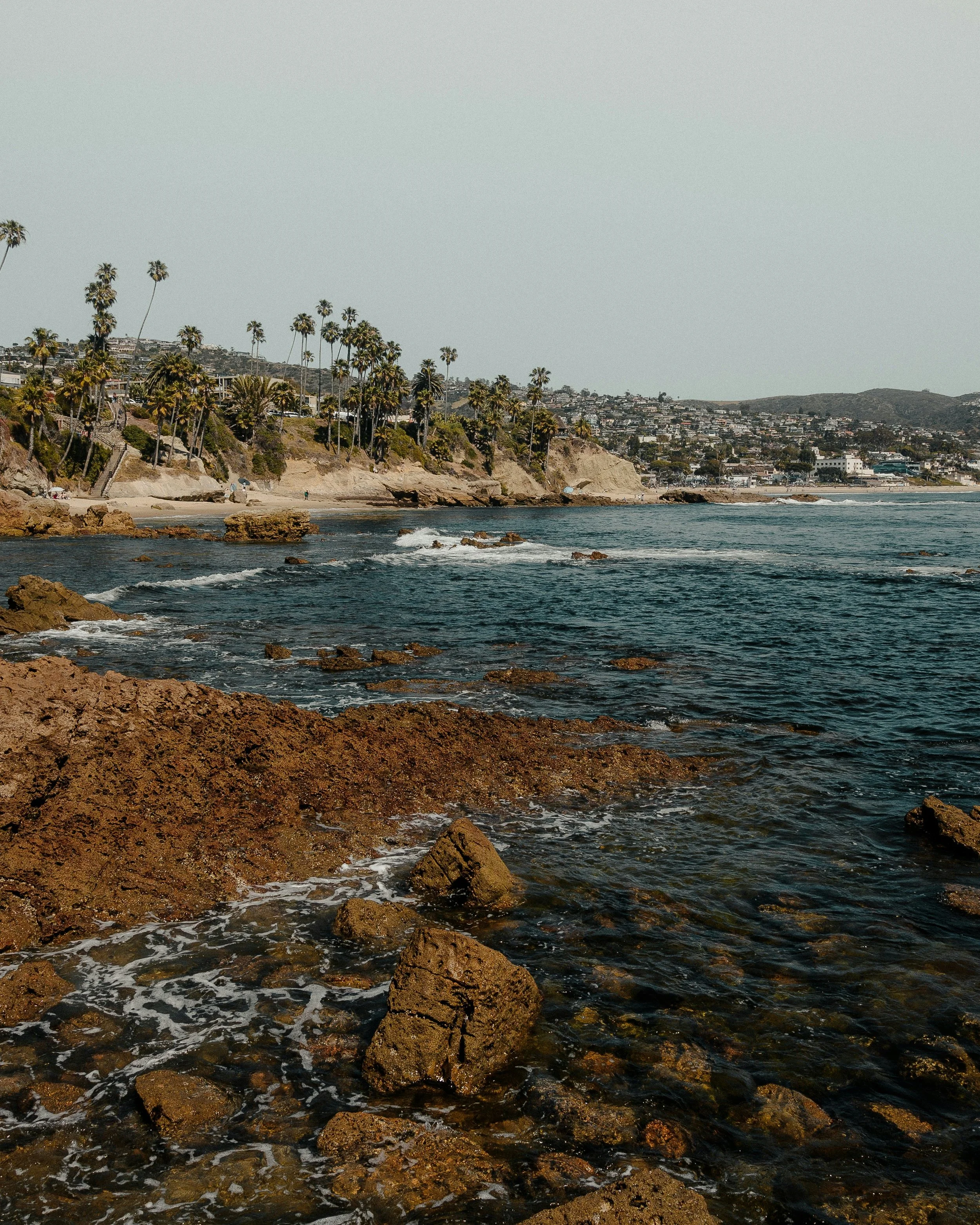A coastal scene with rocky shoreline, ocean waves, and a hillside with palm trees and houses in the distance.