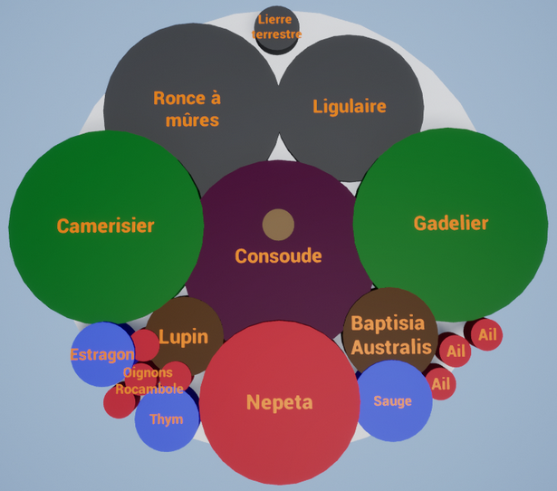 Association de plantes comestible pour la Permaculture au Québec