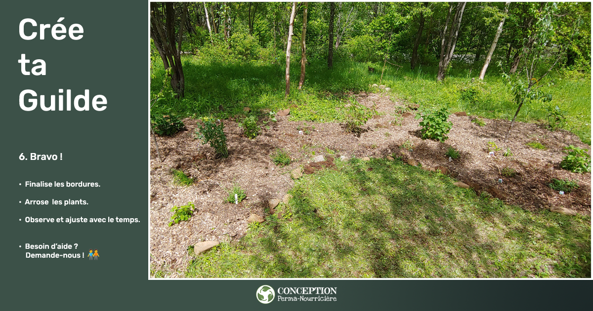 Comment je crée mes guildes en permaculture au Québec - Finalise la guilde