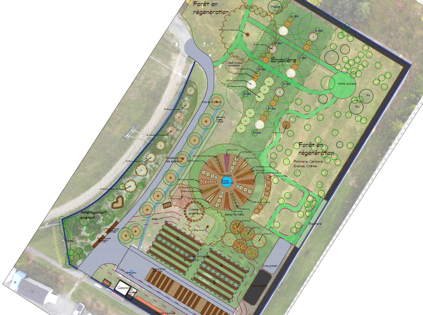 Plan 2D d'un vaste terrain scolaire en jachère transformé en écosystème éducatif comestible. Forêt en régénération, érablière, mandala maraîcher, cultures annuelles en rotation et classe extérieure pour les élèves.