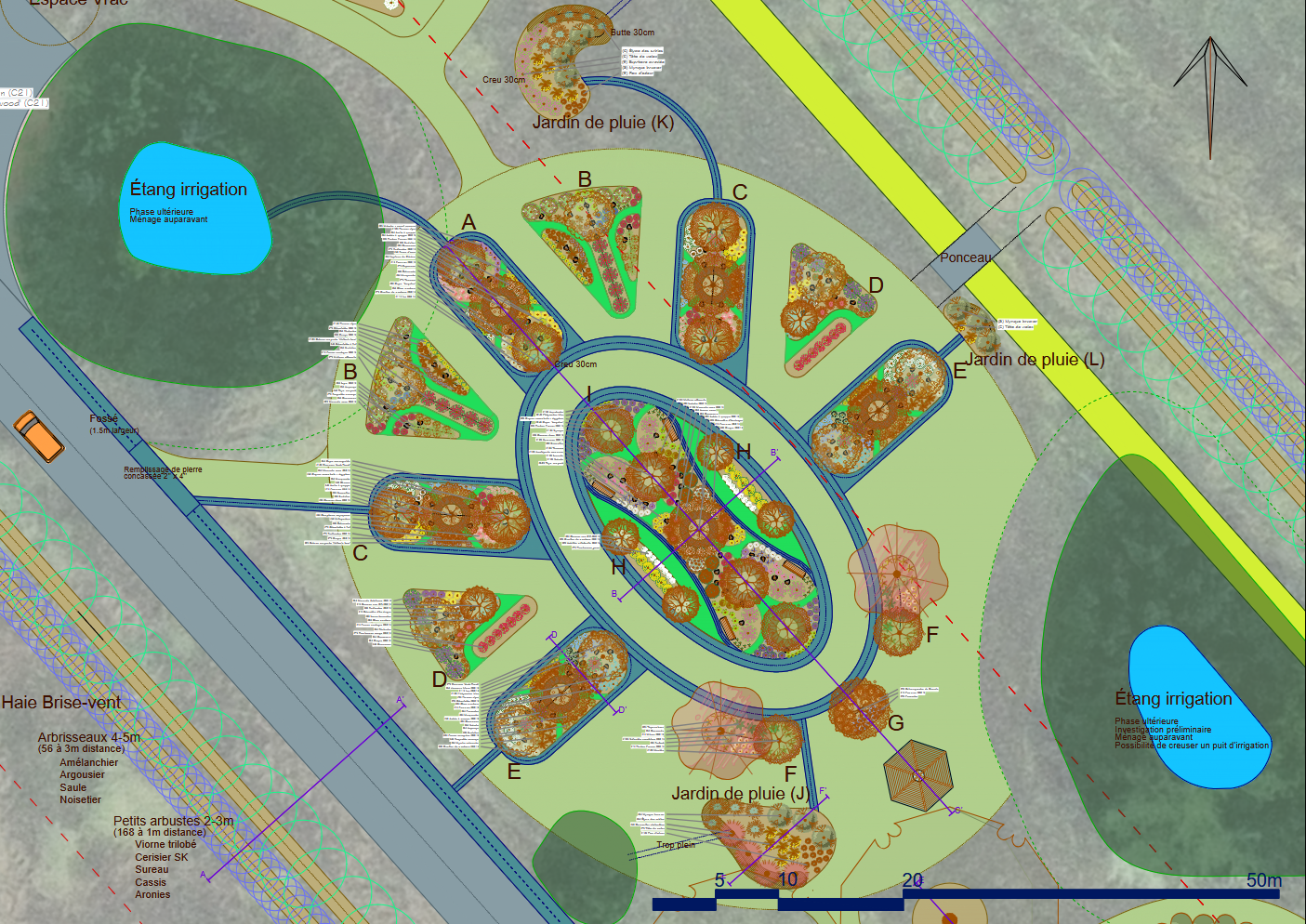 Design d'une grande forêt nourricière communautaire sur terrain argileux : étang d'irrigation, jardin de pluie, gestion intégrée des eaux de surface et accès public.