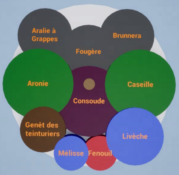 Associations de plantes comestibles pour la Permaculture au Québec