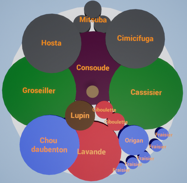 Un exemple d'associations de plantes qui favorise les plantes comestibles