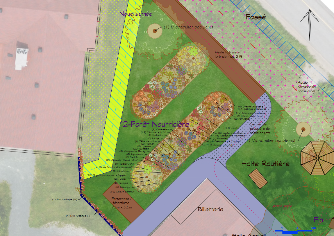 Zoom du plan 2D sur la forêt nourricière du Musée, l'îlot 12, près de la billetterie : arbres, arbustes et vivaces comestibles, chaque plante nommée avec sa quantité. Un aménagement paysager comestible pensé pour produire avec peu d'entretien.