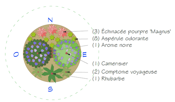 Association de plantes pour les écoles en permaculture au Québec