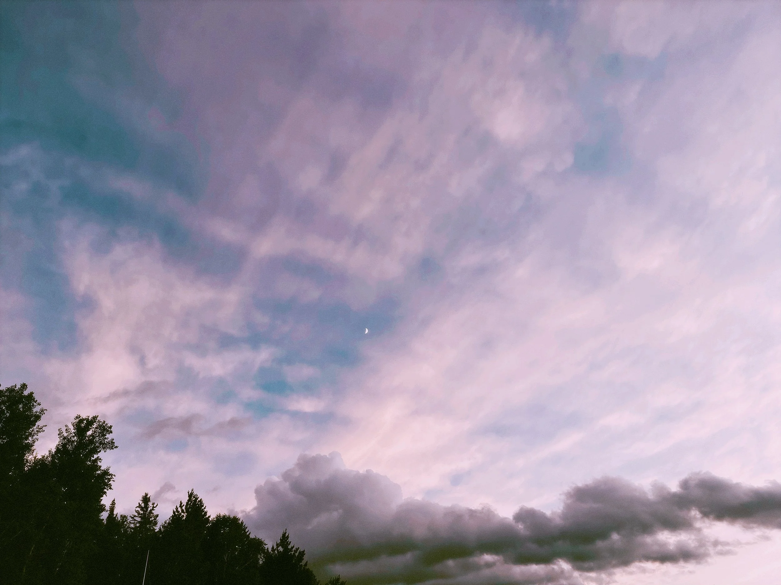 Market & Growth Audit