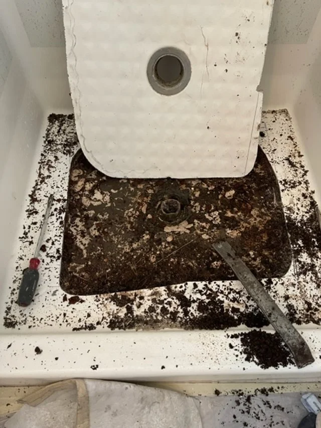 FLOOR2.jpg