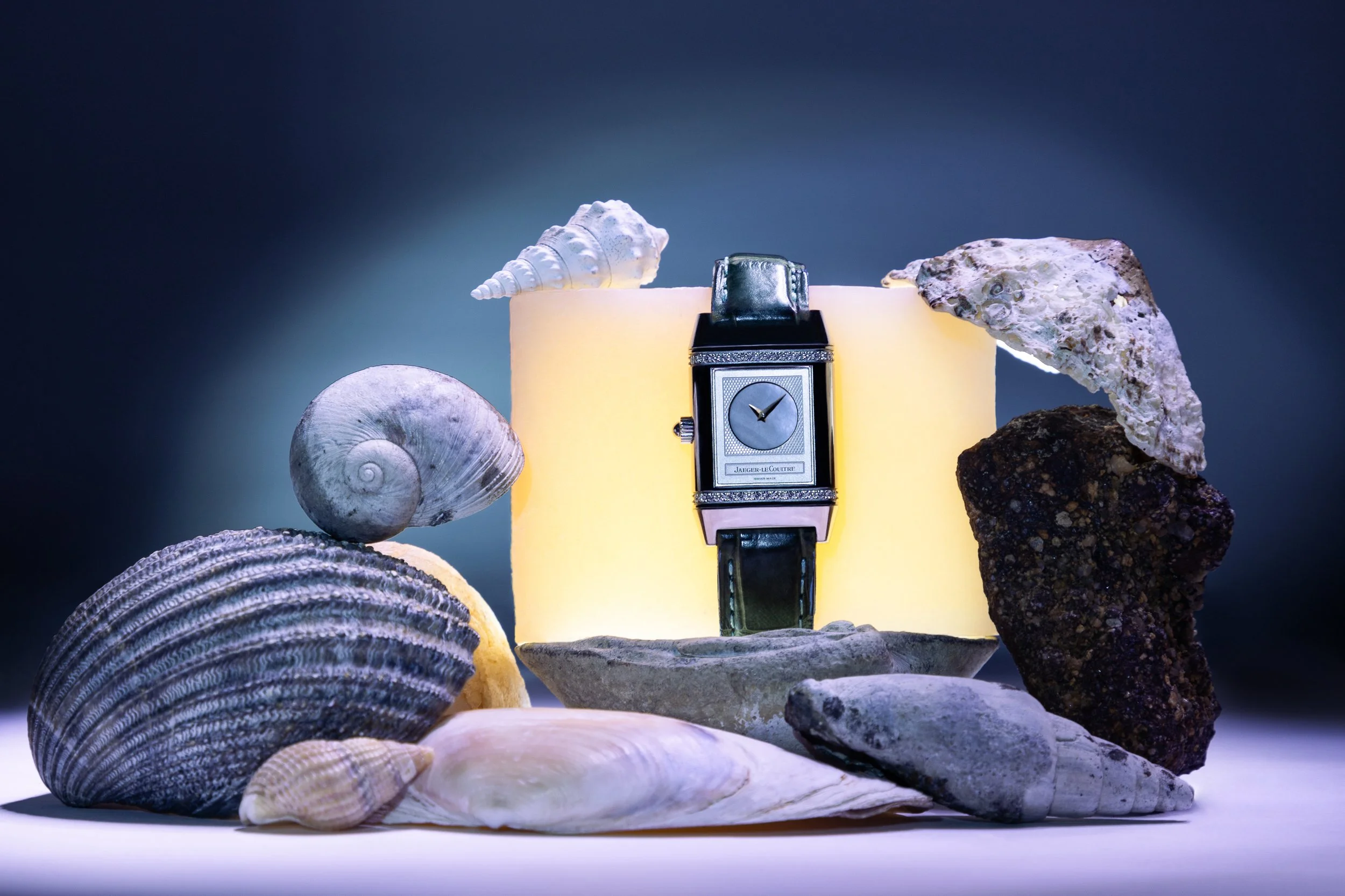 IMG_2183 PS Lancette.jpg