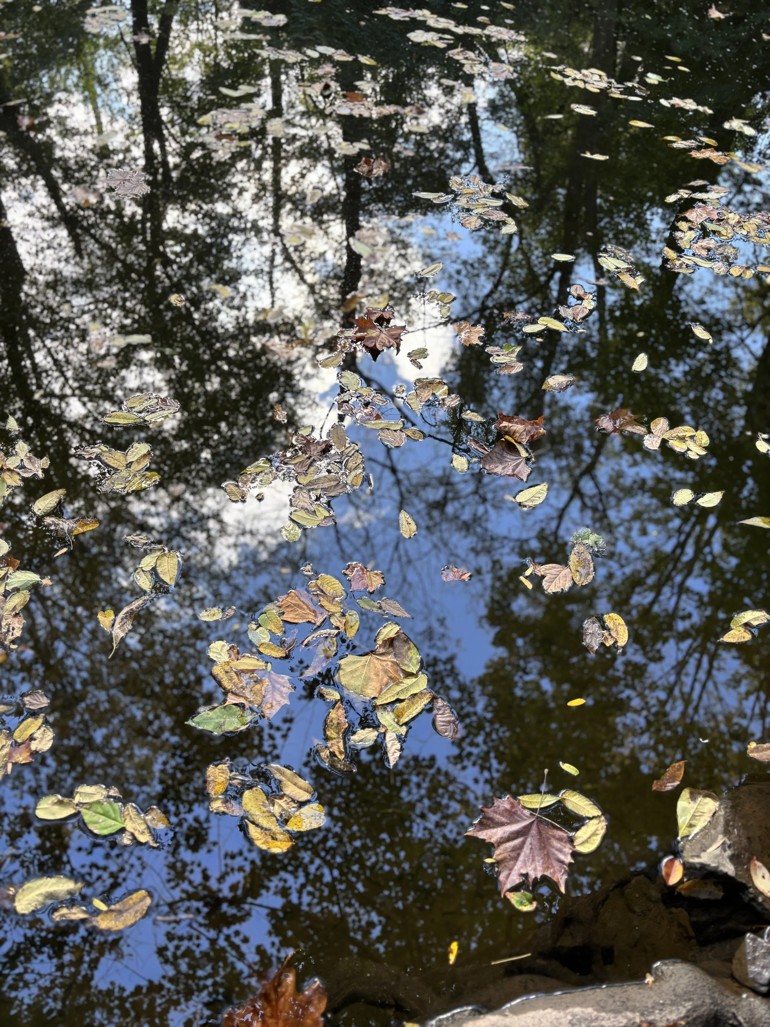 Life-Giving Wisdom—Proverbs 4