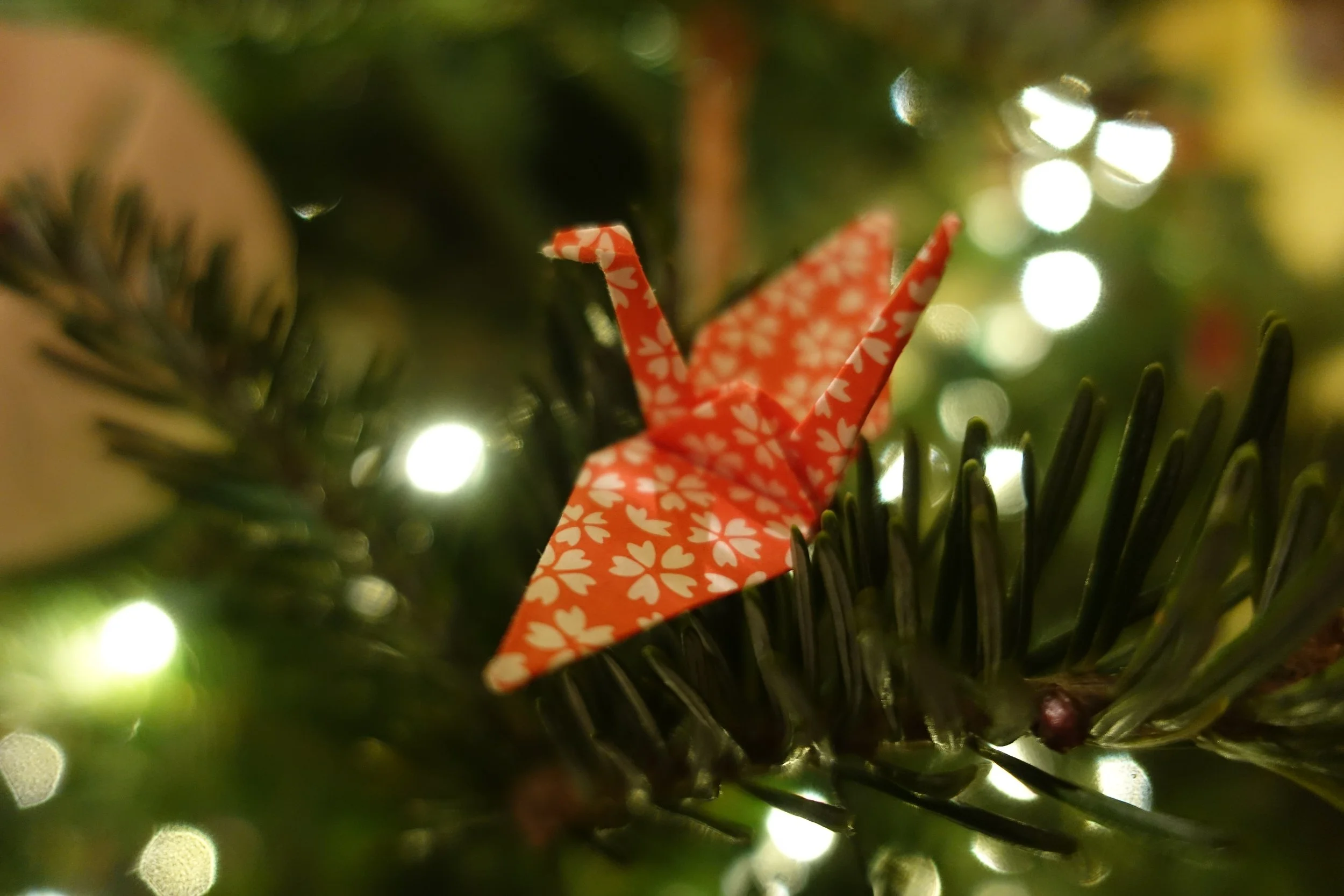 The Hope of the Ages—Matthew 1:1-17