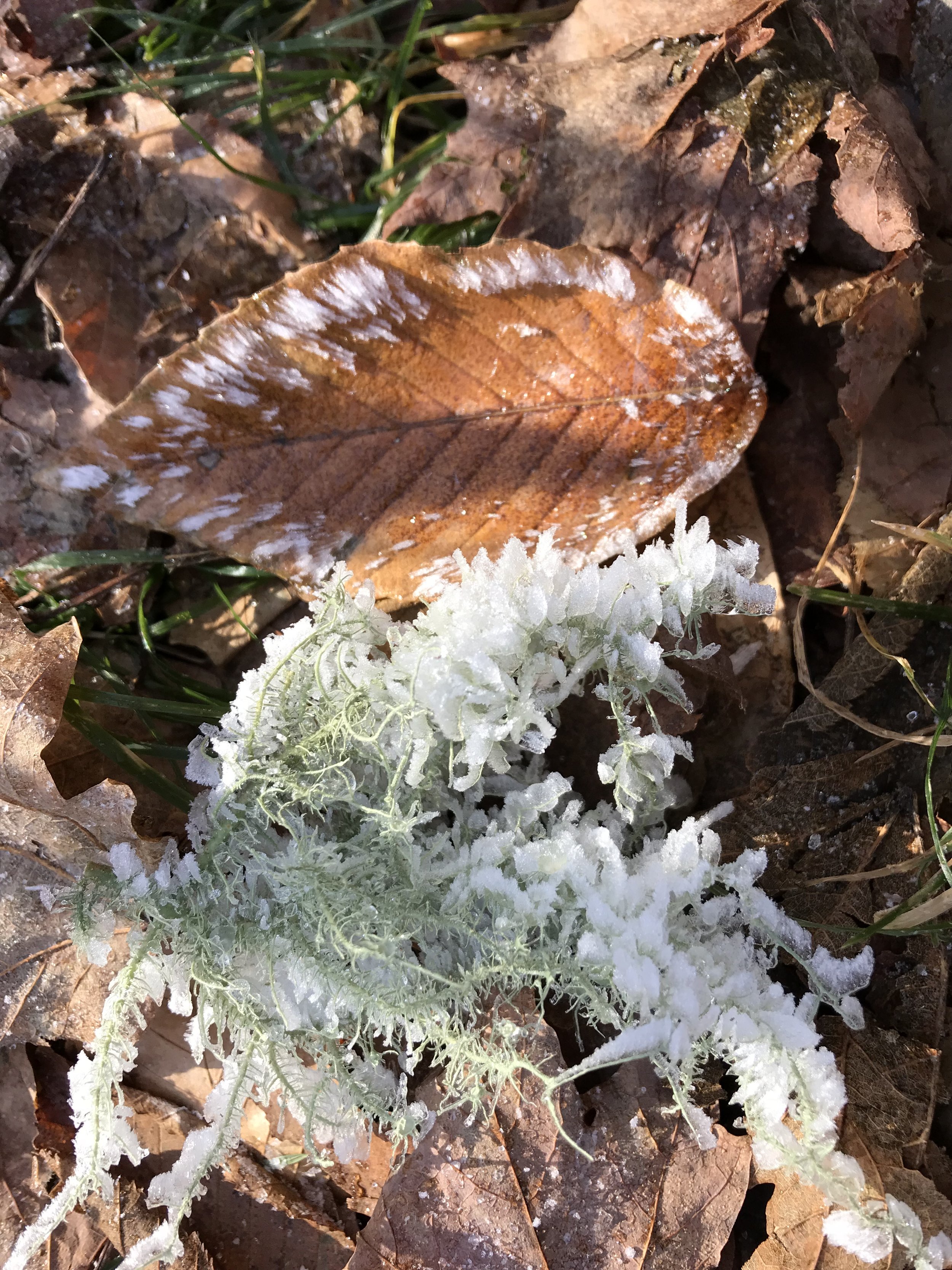 The Time Has Come—Matthew 3