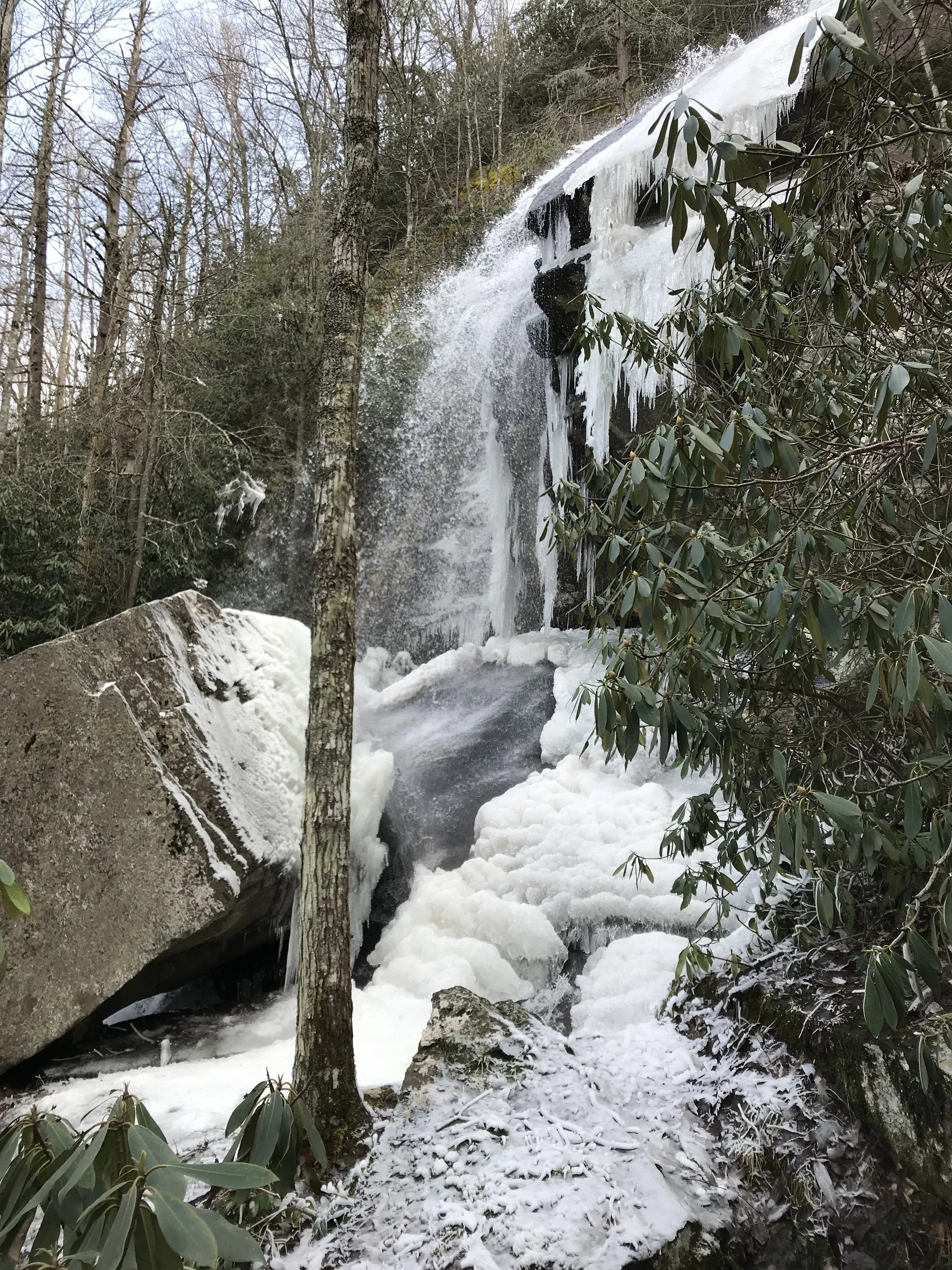 The First Test—Matthew 4:1-11