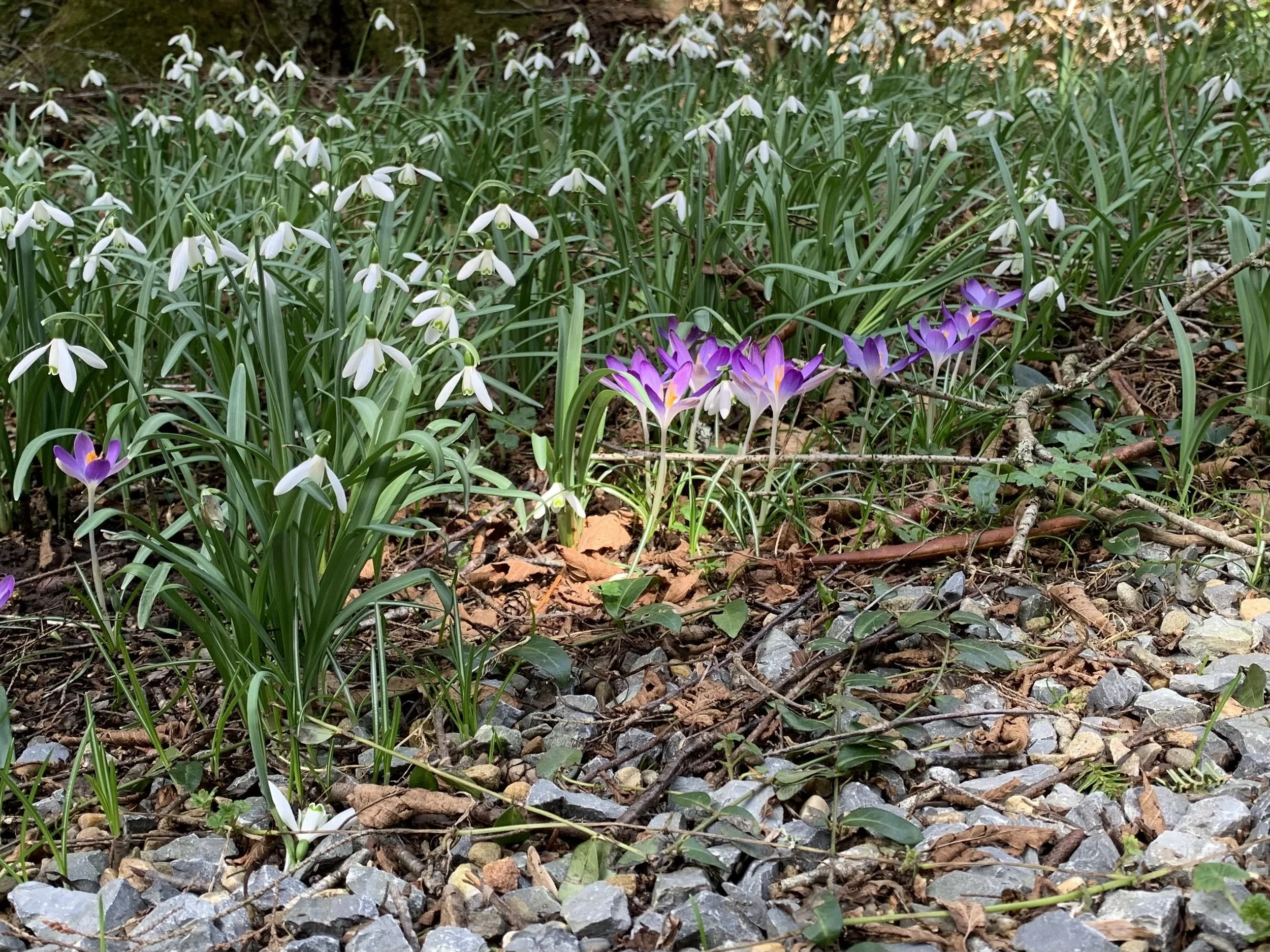 The World's Losers—Matthew 5:1-12