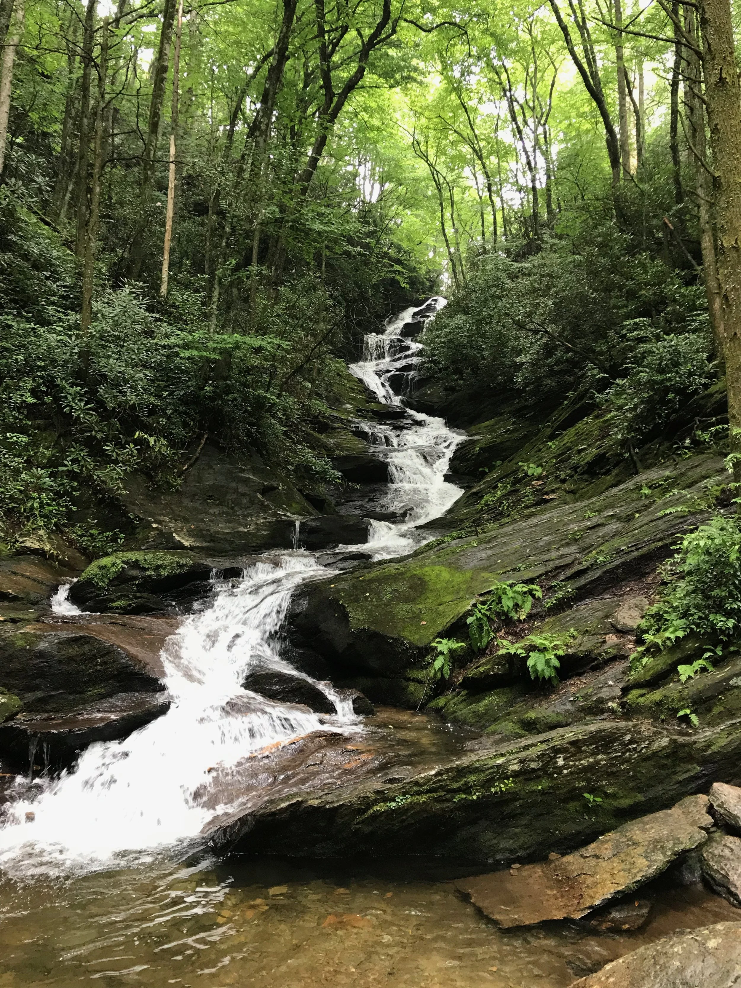 Matthew 6:19-34— A Savior from Worry