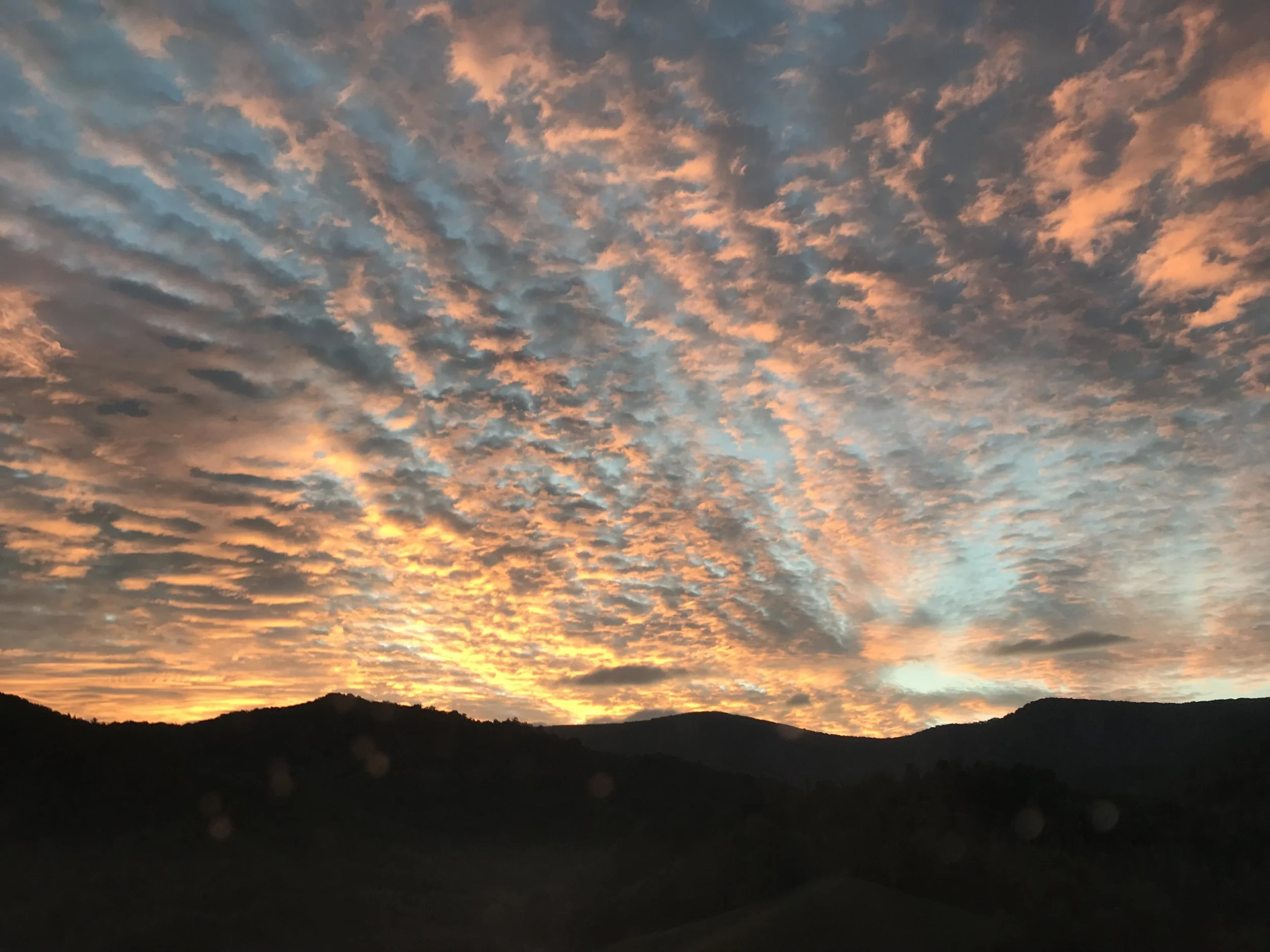 The One Who Is to Come—Matthew 11:1-19