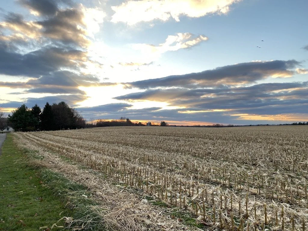 Hidden Treasure—Proverbs 2:1-22