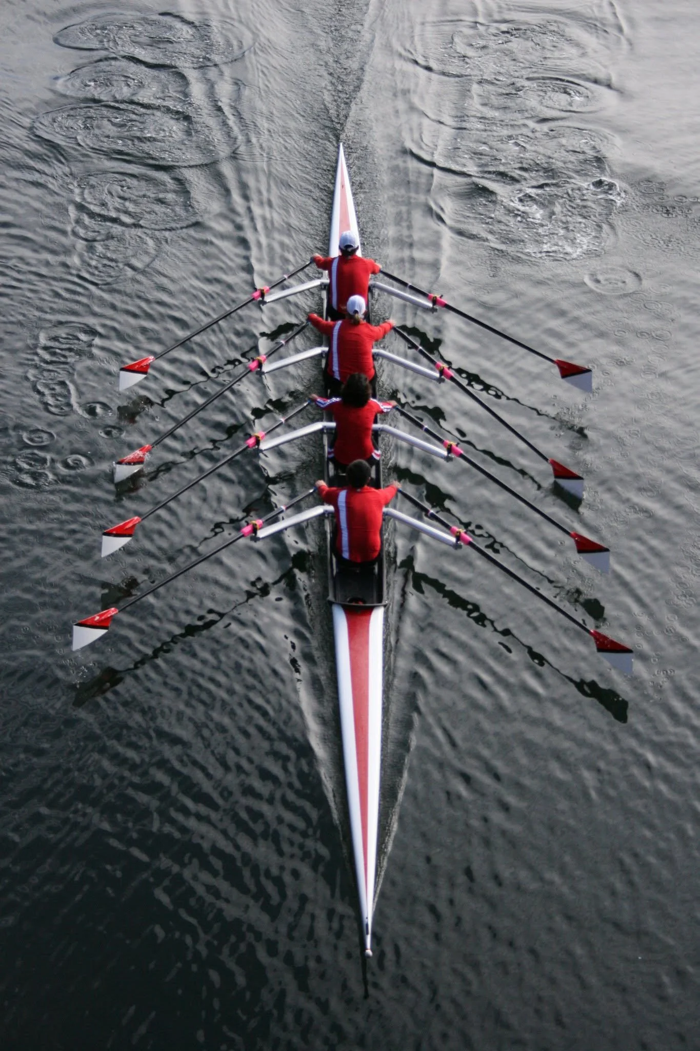504832291_30090010853946147_7402119842256291920_n.jpg