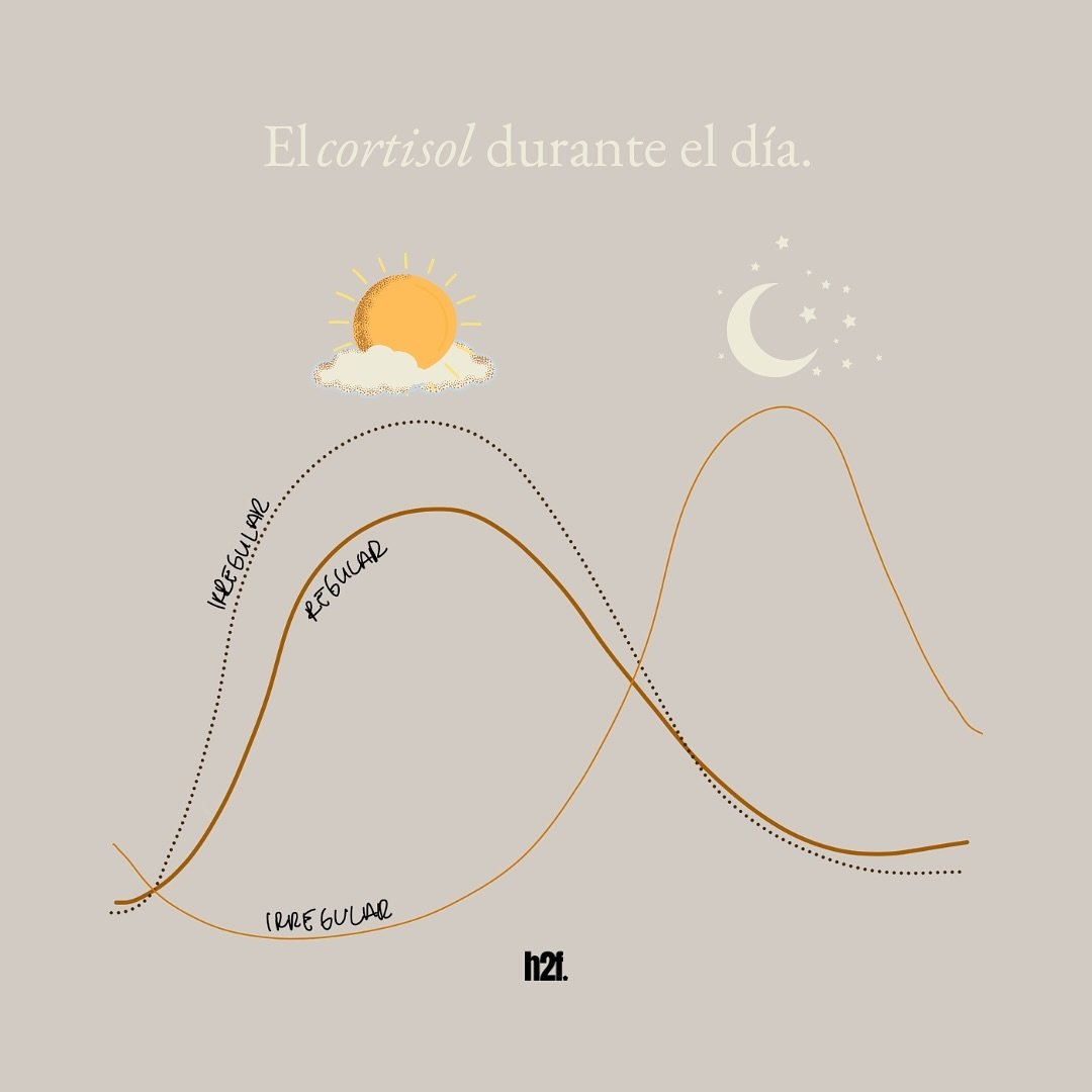 EL CORTISOL&hellip; &iquest;bueno o malo? 🤔👇🏼

⚙️ El cortisol es una hormona esteroide relacionada con la respuesta al estr&eacute;s que regula distintos procesos vitales en el cuerpo.

🌅 En condiciones normales, el cortisol sigue al ritmo circad