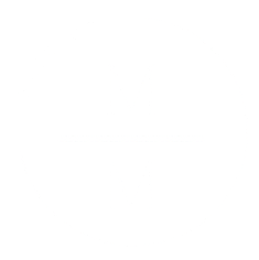 Moss &amp; Mane Hair Co. 