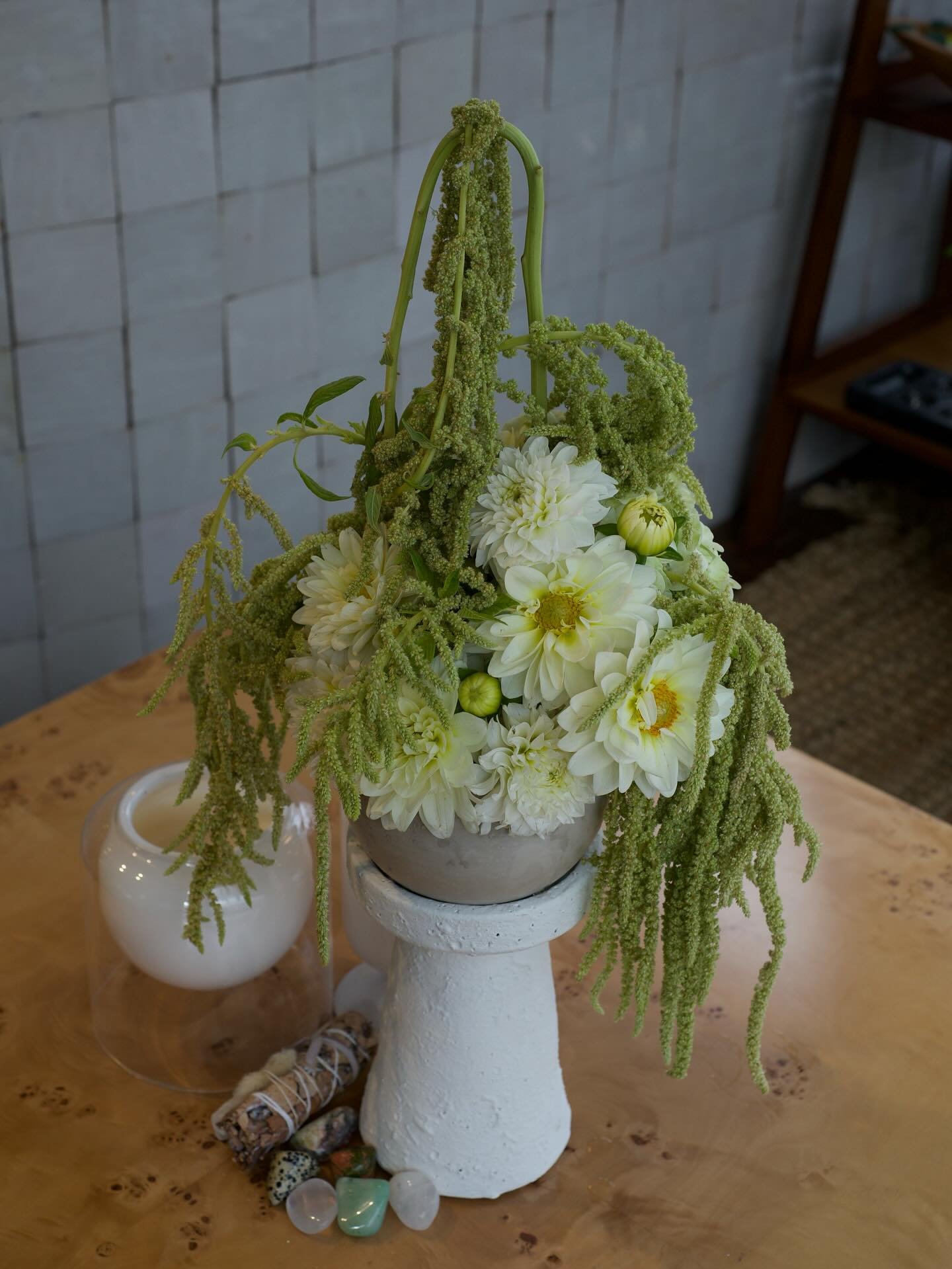 a mid-summer mop head moment from last year ! @decourcybeauty 🐍🌿🍐🎾💚🔋🦠