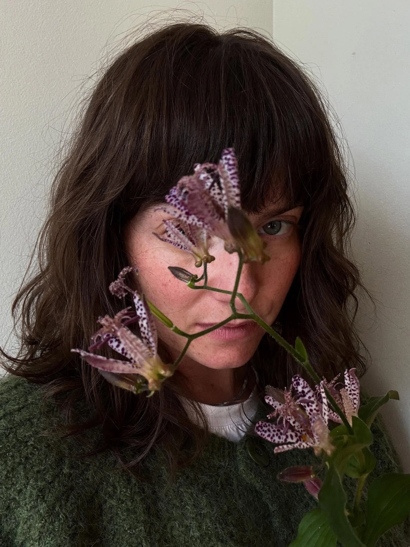 it’s me, hi 🐸 ft. a very cute toad lily