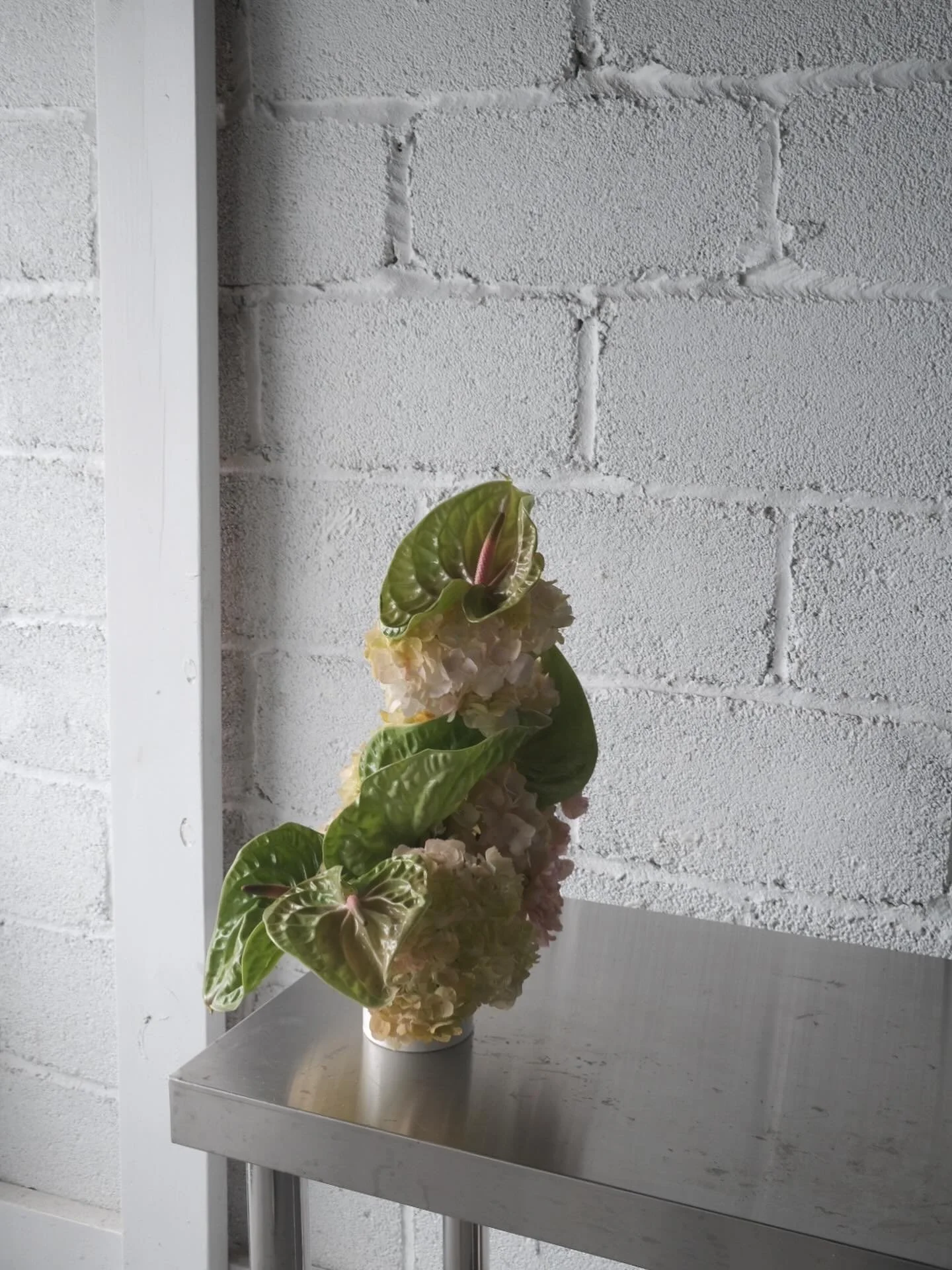 shapes+lines 
.
#fuji #fujixseries #fujix100v #fujifilm_xseries