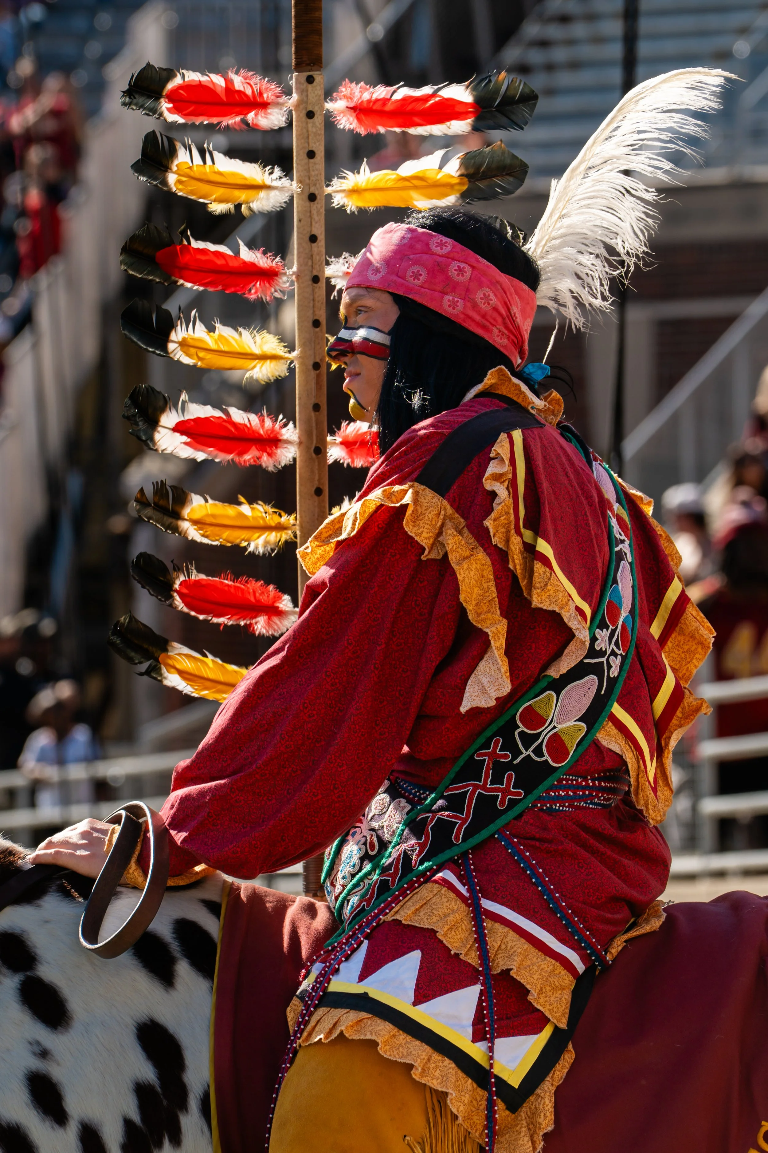 DSC02365.jpg