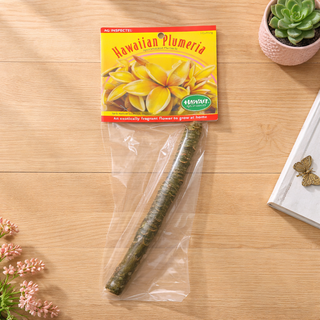 Plumeria Cutting – Paul Weissich (Yellow Hawaiian Plumeria)