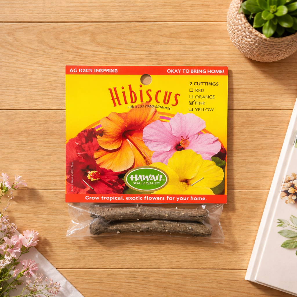 Hibiscus Cuttings (2 per package)- Pink